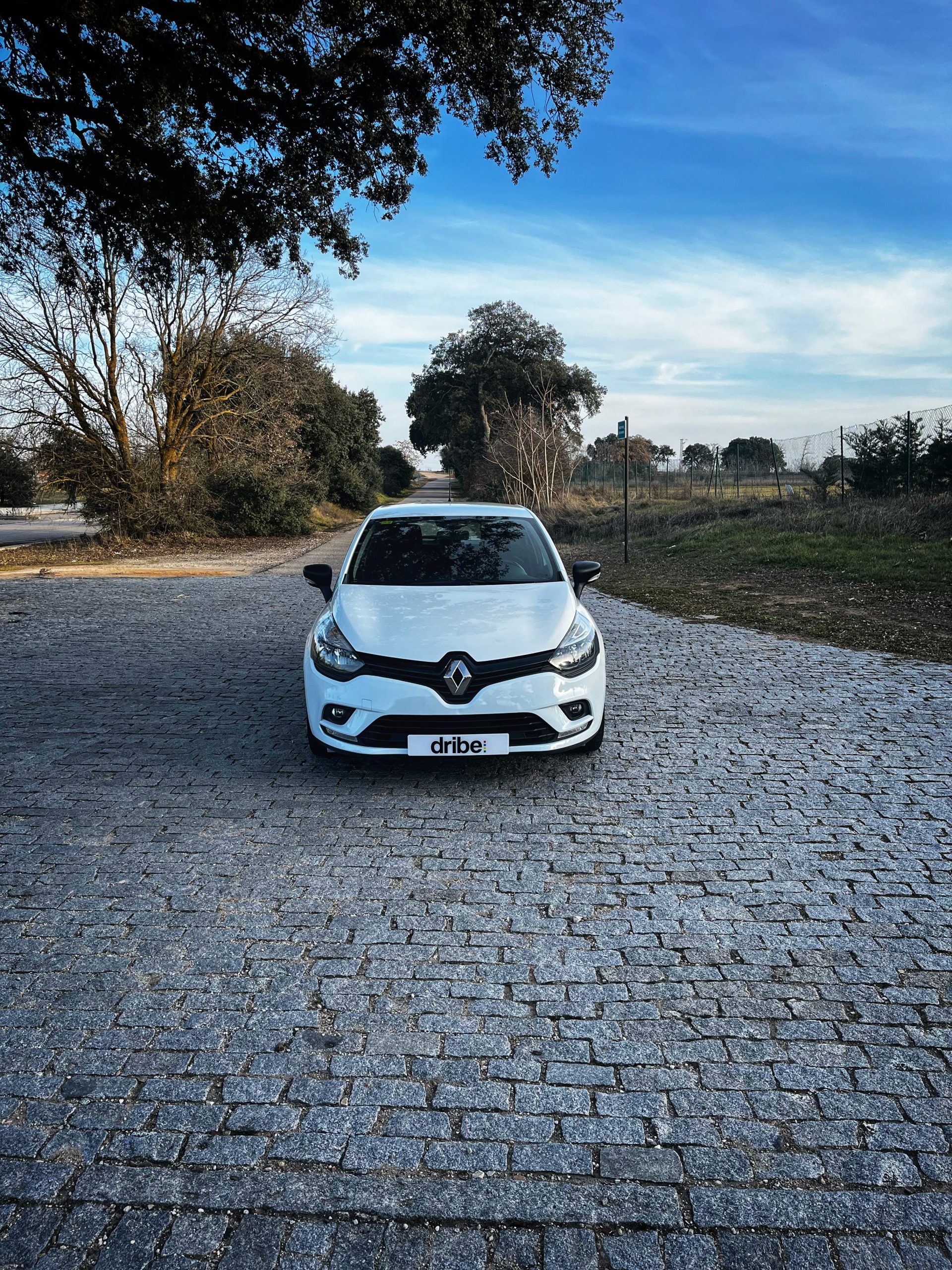 Renault Clio Business 1.5 dCi 75cv Energy