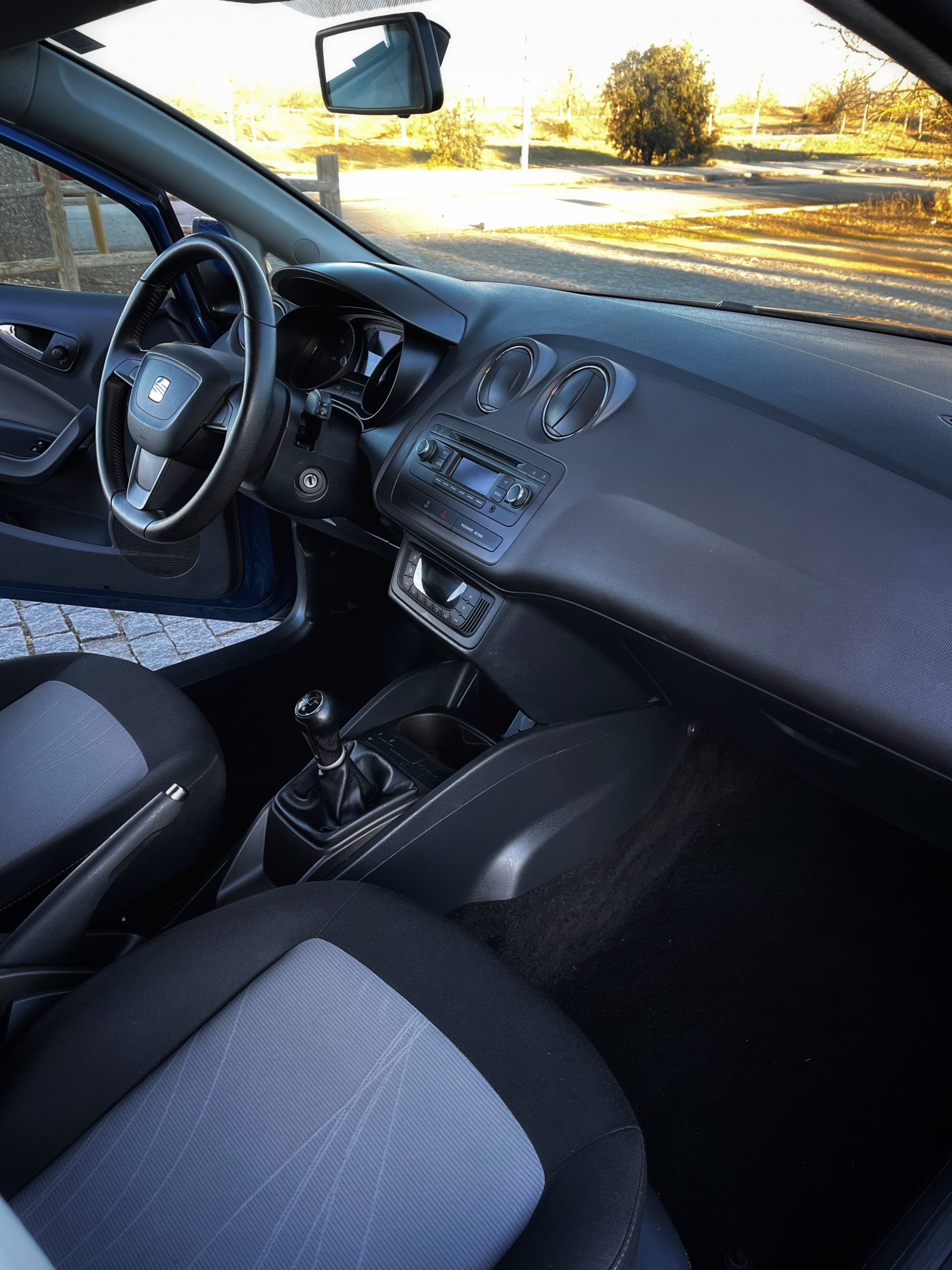 Seat Ibiza Style 1.6 TDI 105cv