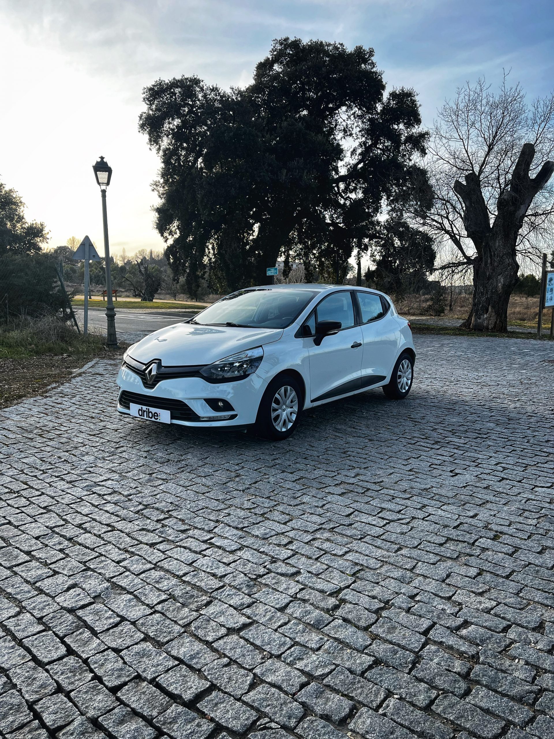 Renault Clio Business 1.5 dCi 75cv Energy