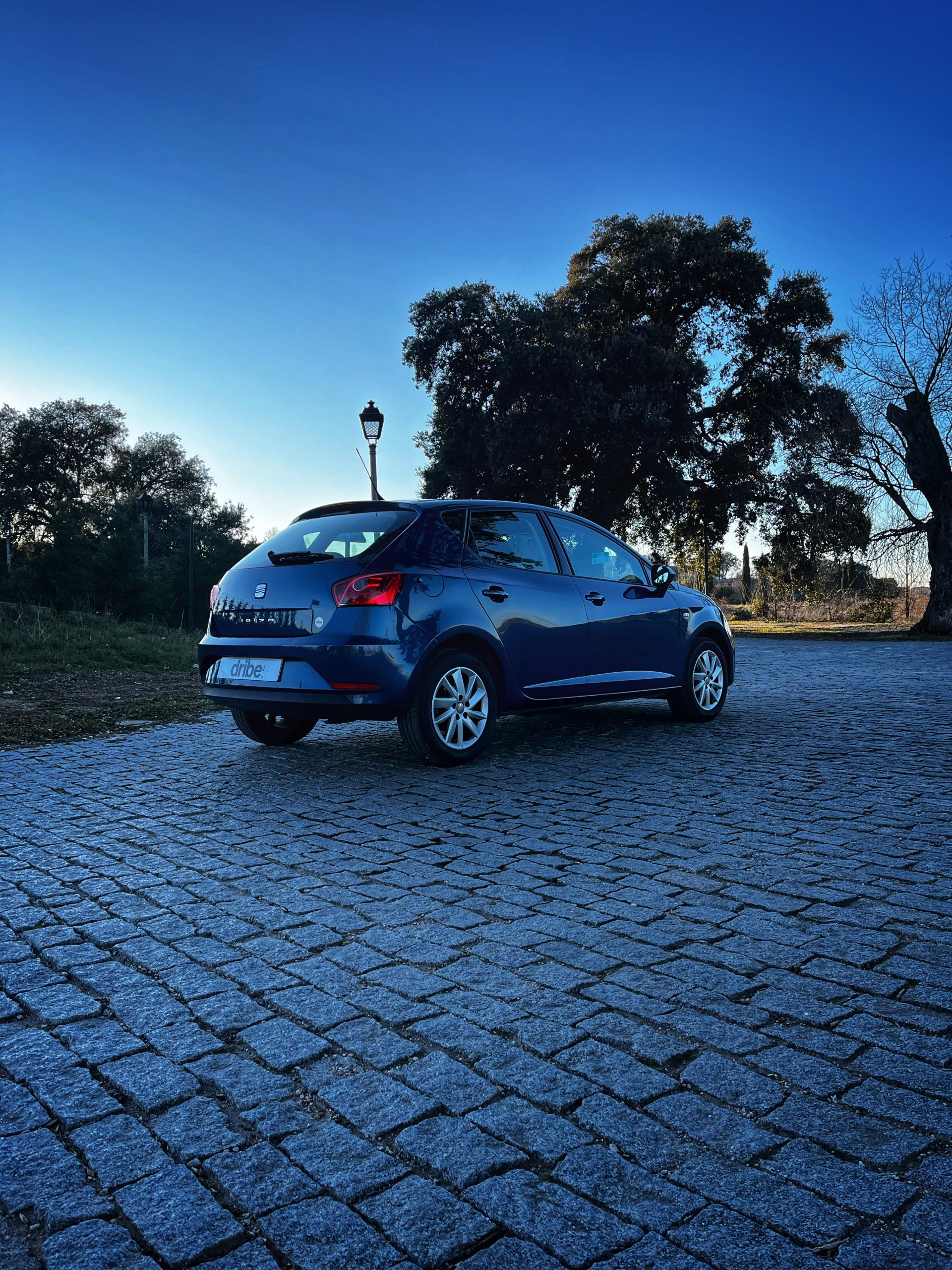 Seat Ibiza Style 1.6 TDI 105cv