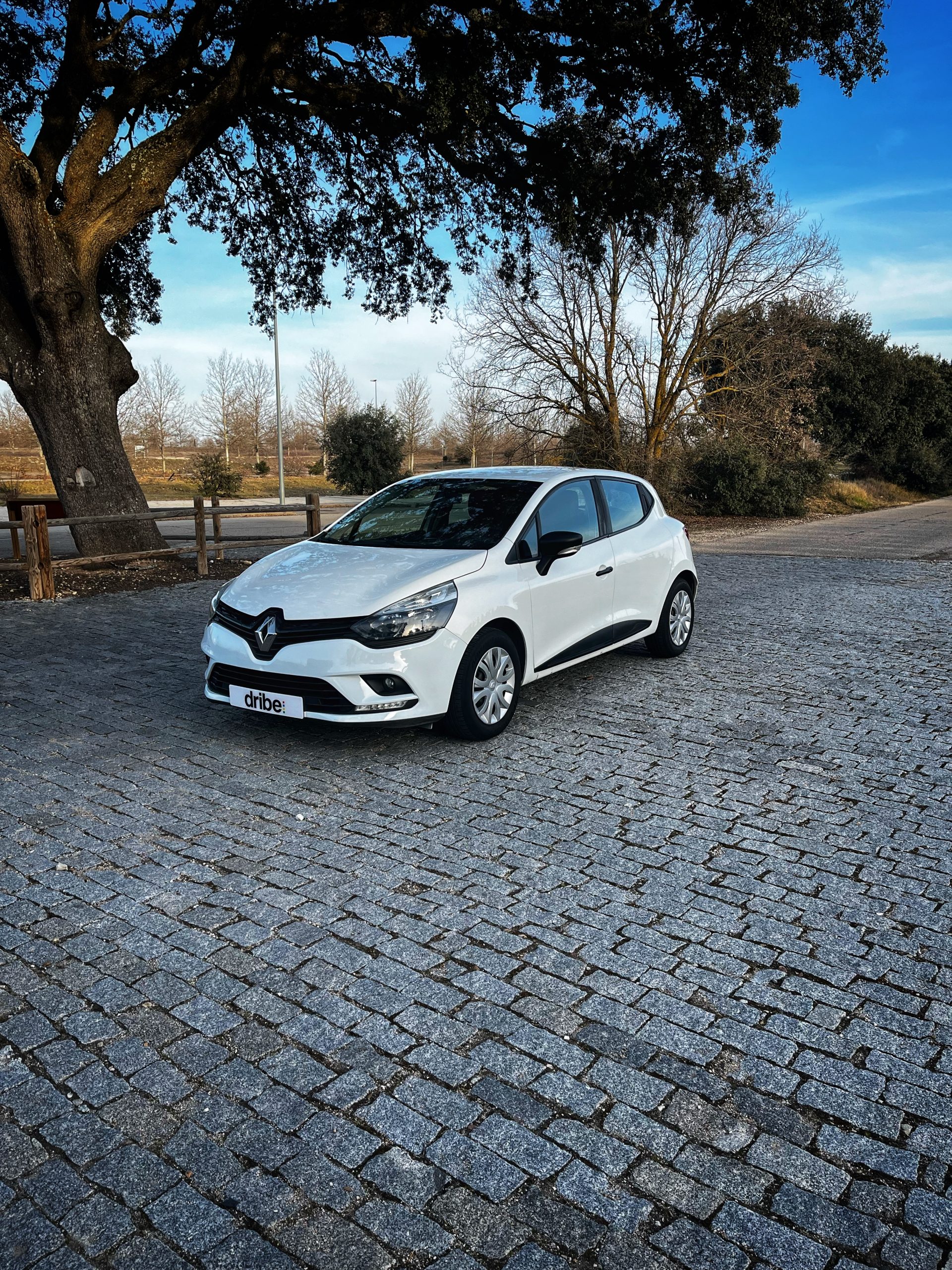 Renault Clio Business 1.5 dCi 75cv Energy