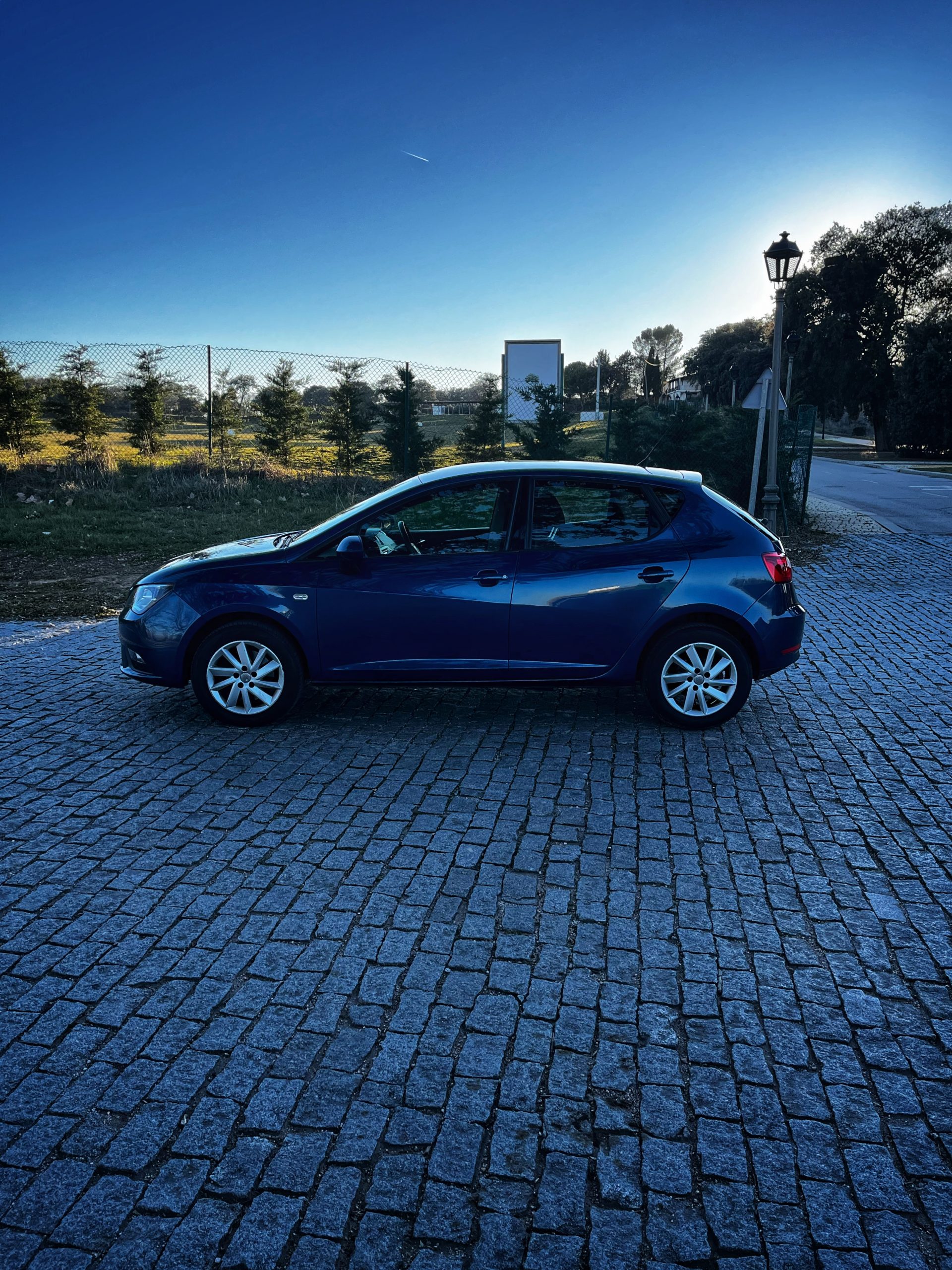 Seat Ibiza Style 1.6 TDI 105cv