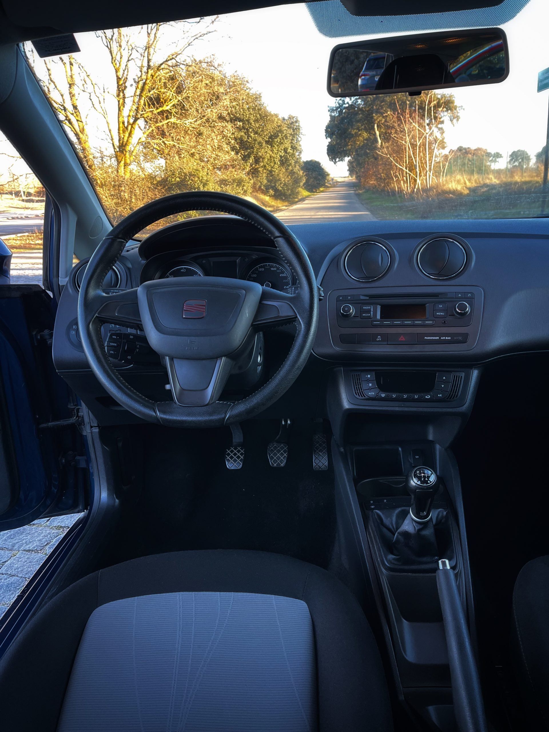 Seat Ibiza Style 1.6 TDI 105cv