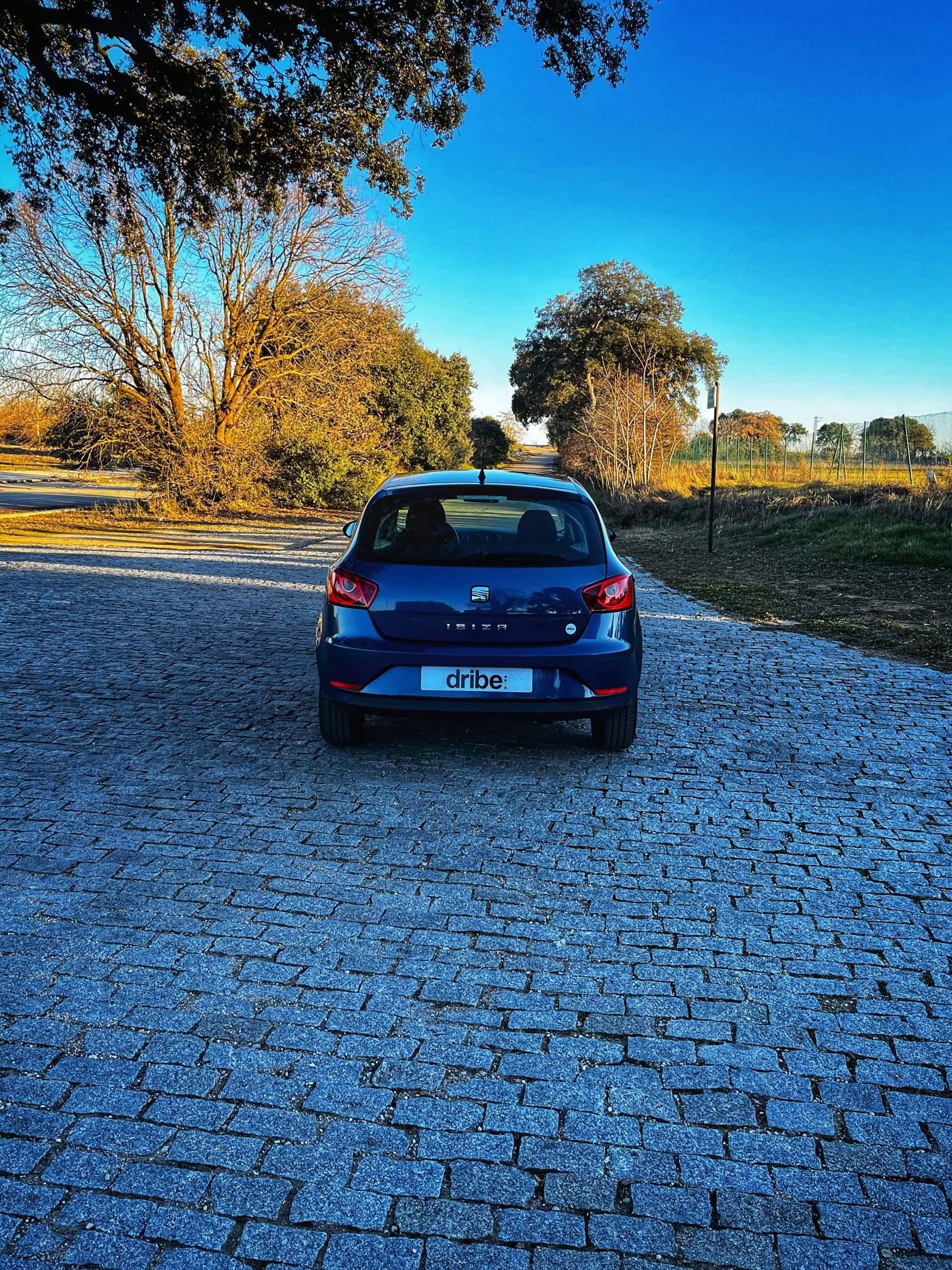 Seat Ibiza Style 1.6 TDI 105cv