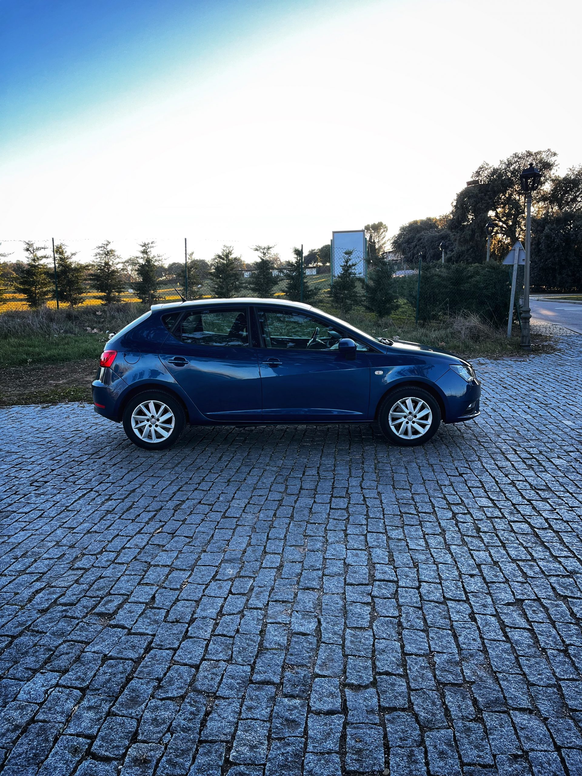 Seat Ibiza Style 1.6 TDI 105cv