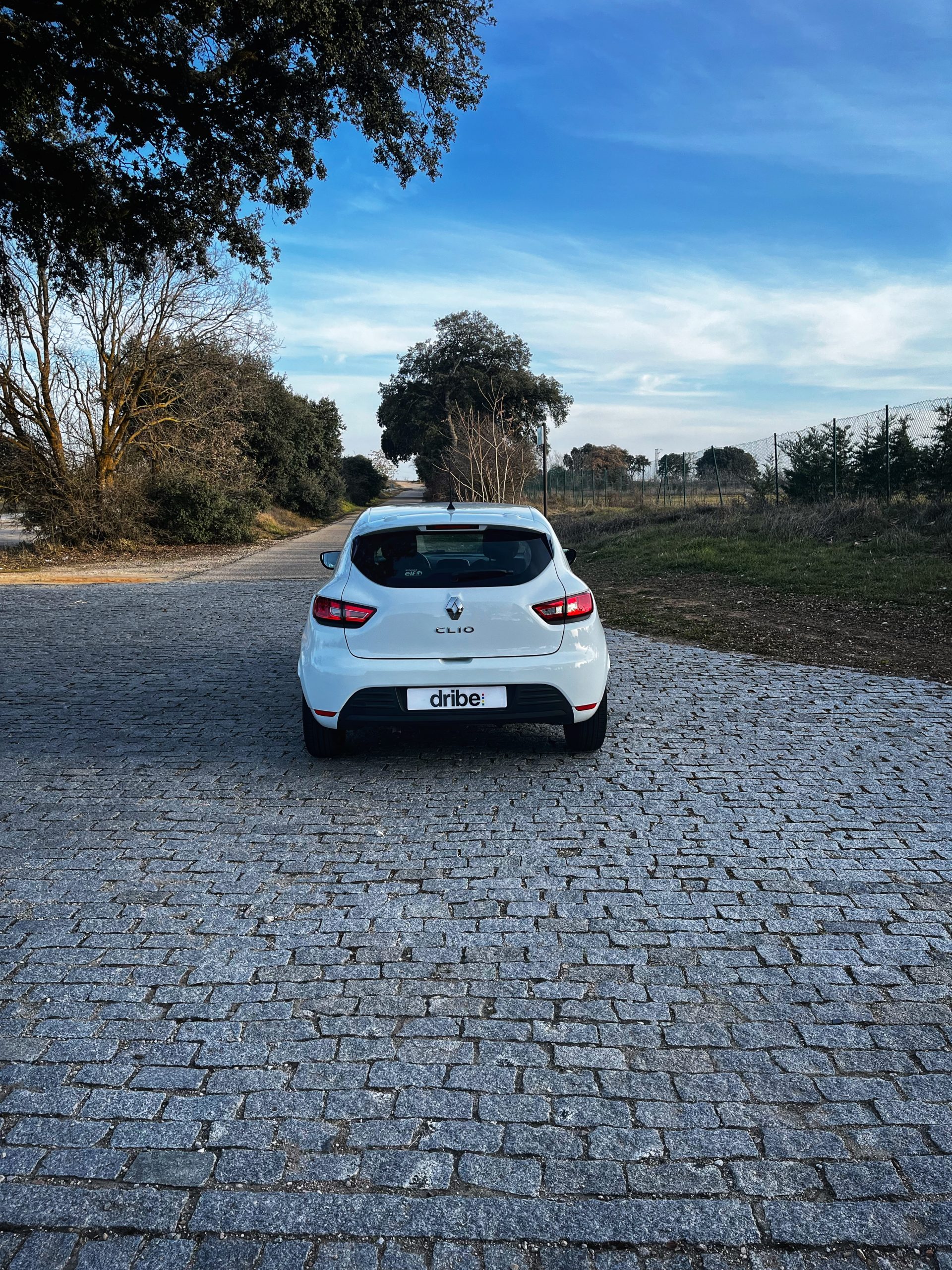 Renault Clio Business 1.5 dCi 75cv Energy