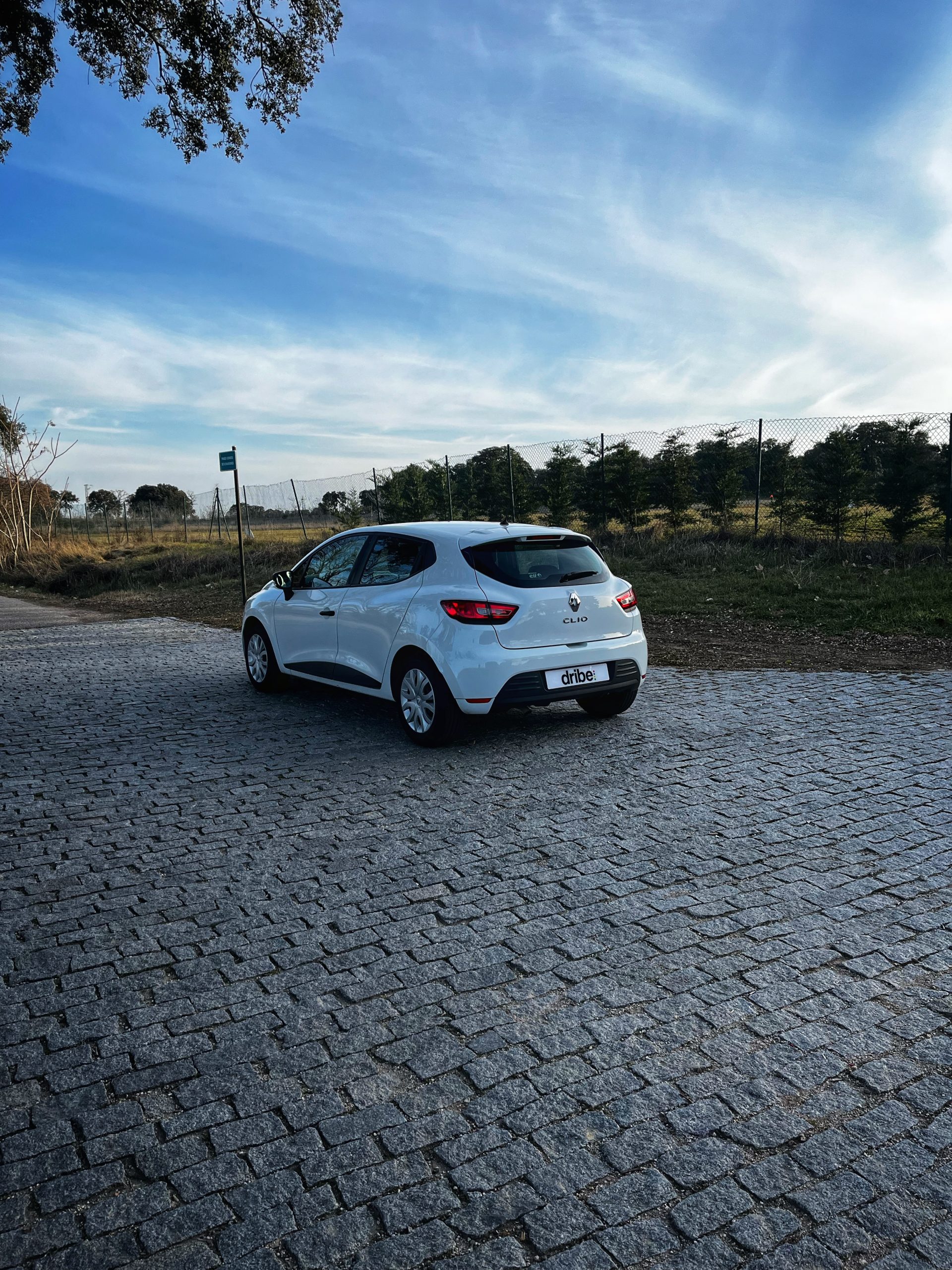 Renault Clio Business 1.5 dCi 75cv Energy