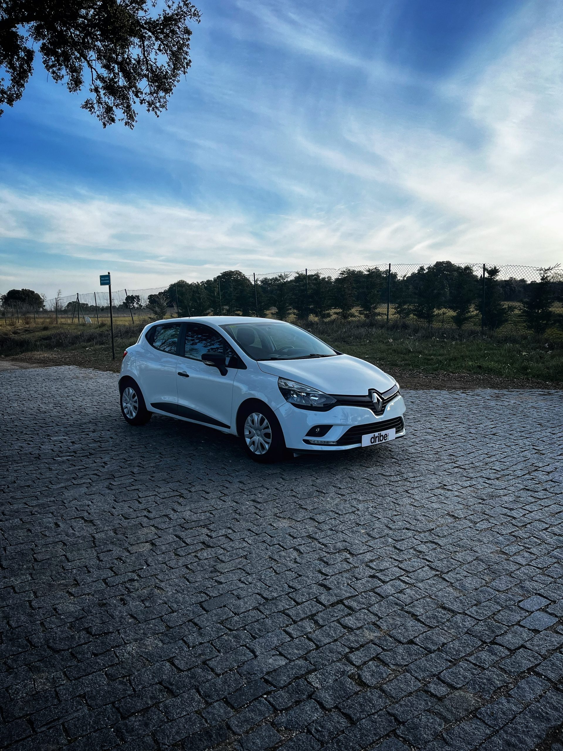 Renault Clio Business 1.5 dCi 75cv Energy
