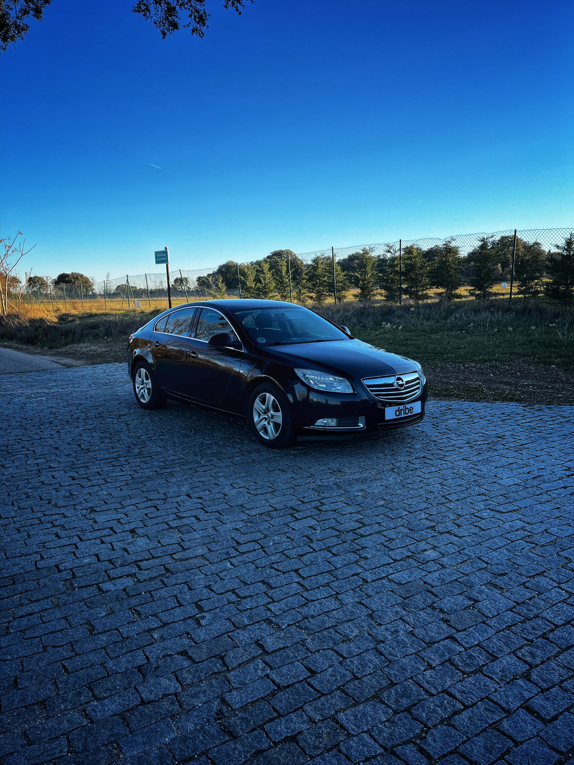Opel Insignia Selective 2.0 CDTI 130cv