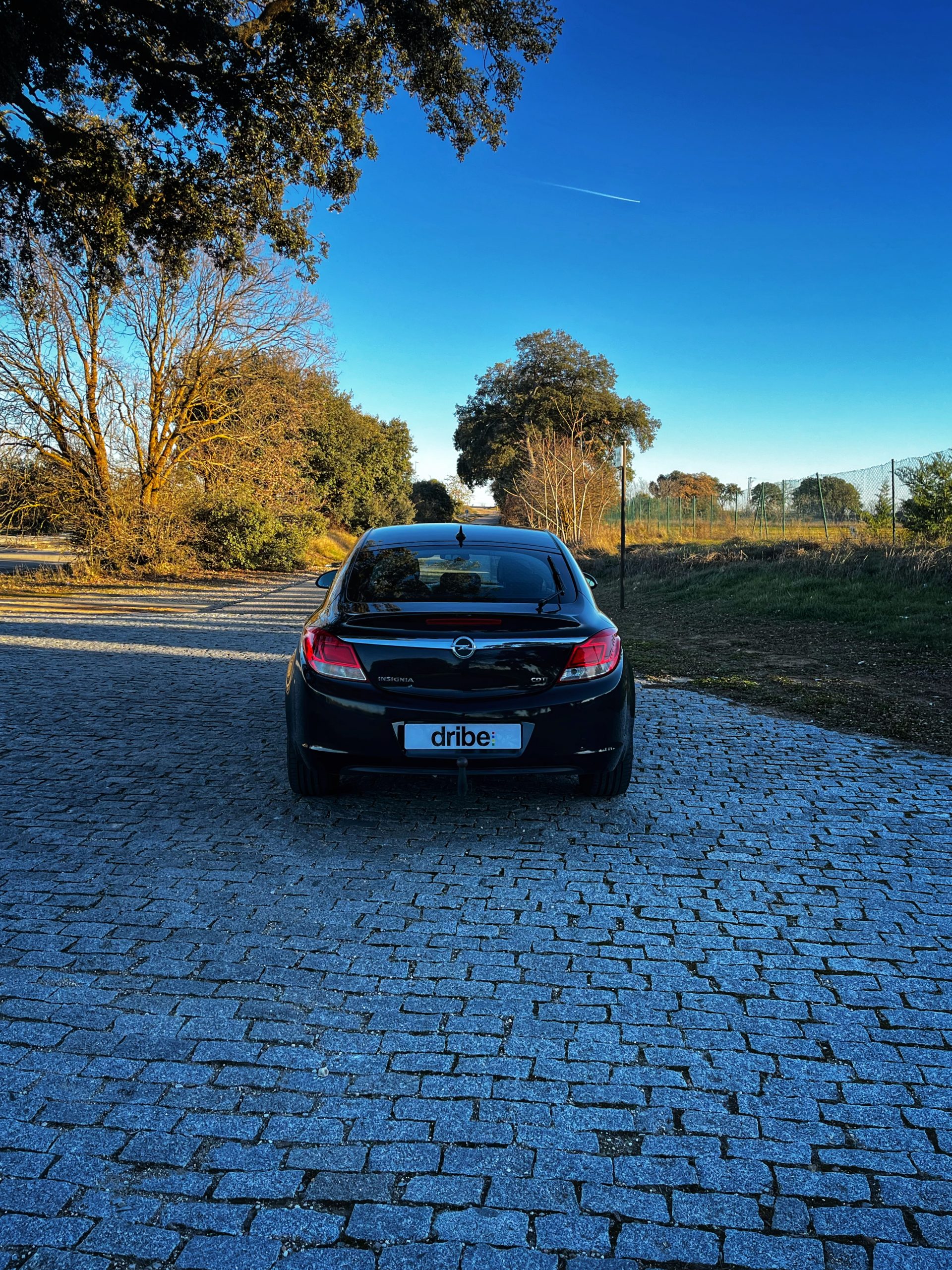 Opel Insignia Selective 2.0 CDTI 130cv