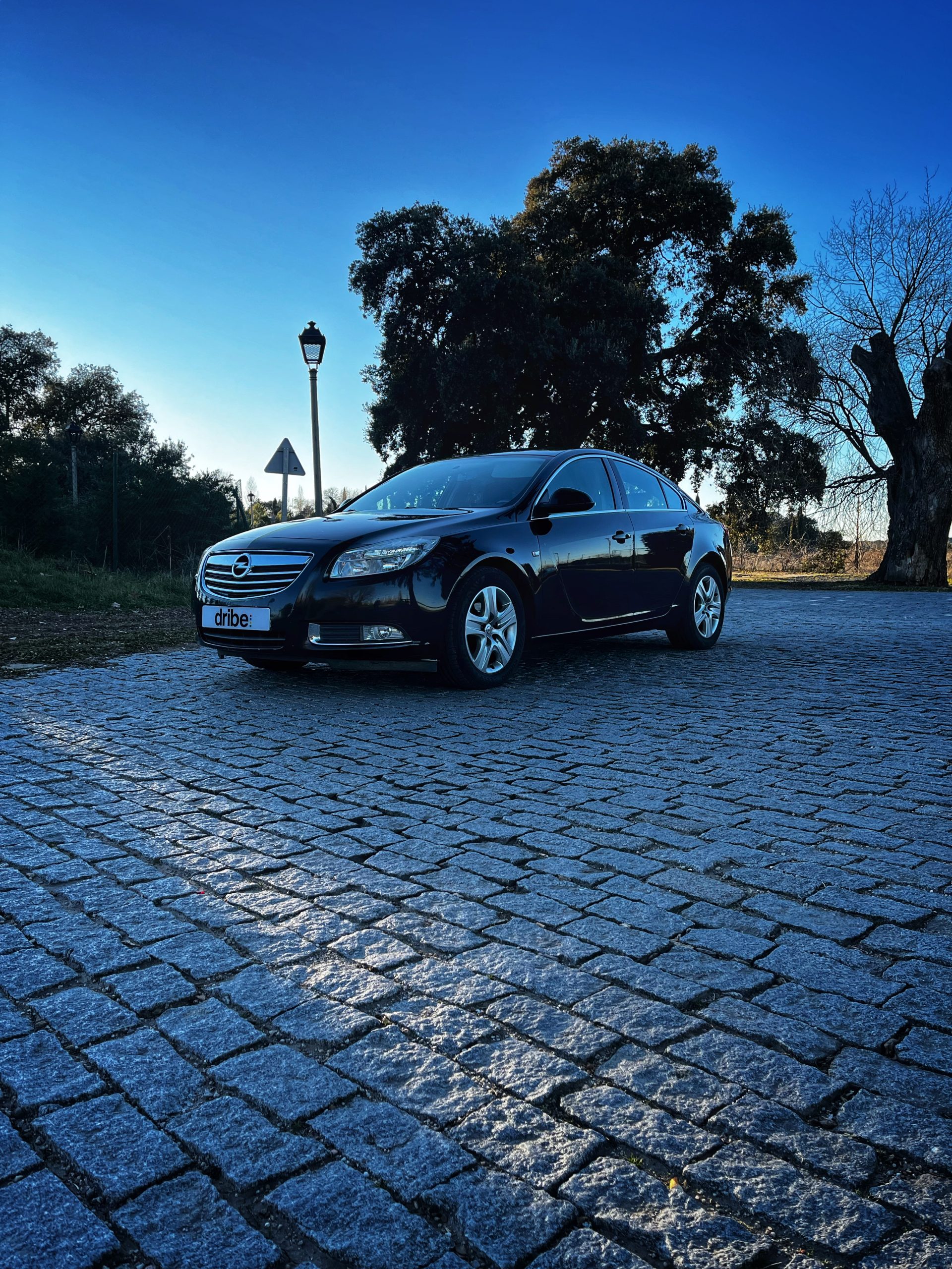 Opel Insignia Selective 2.0 CDTI 130cv