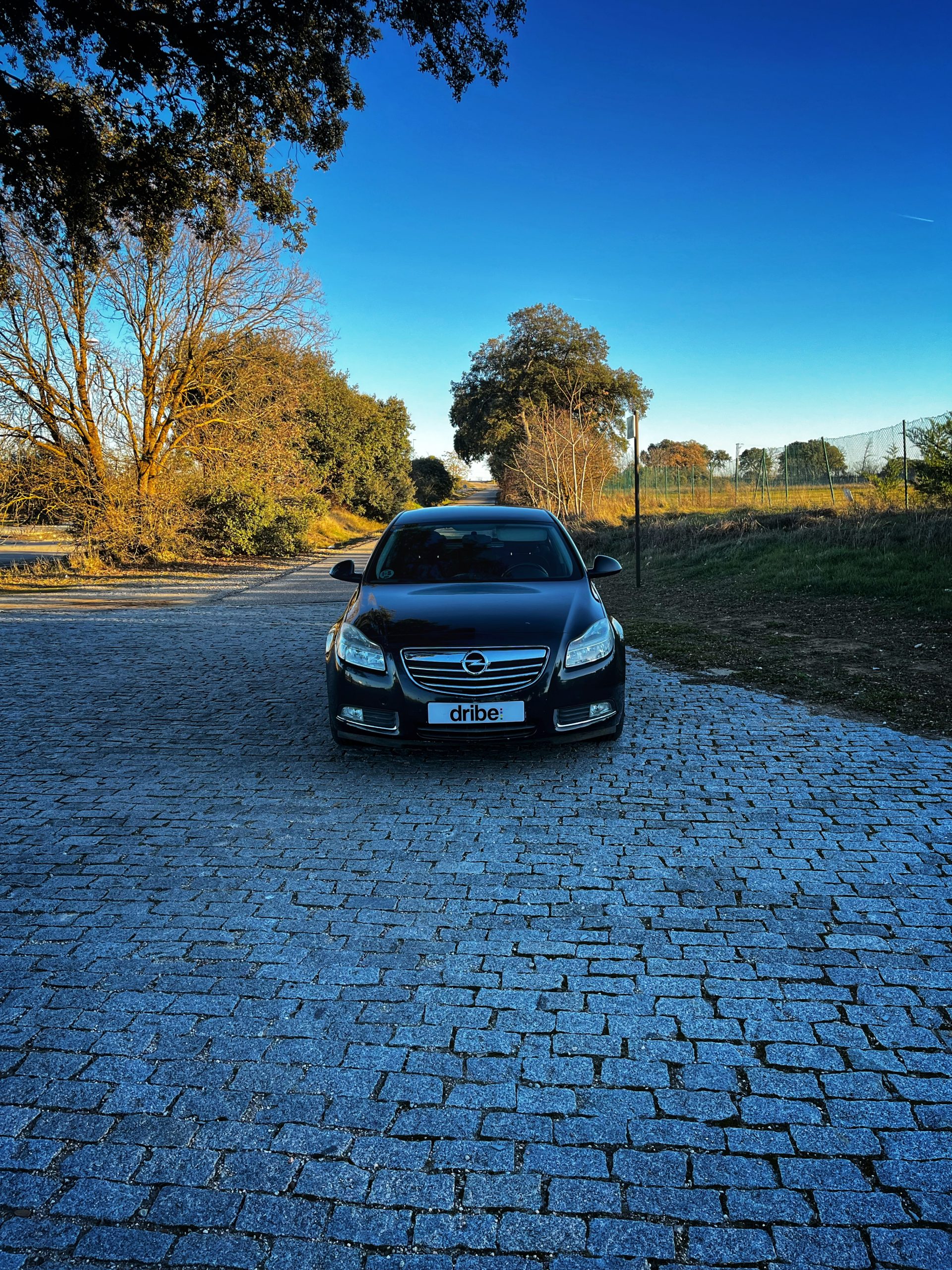 Opel Insignia Selective 2.0 CDTI 130cv