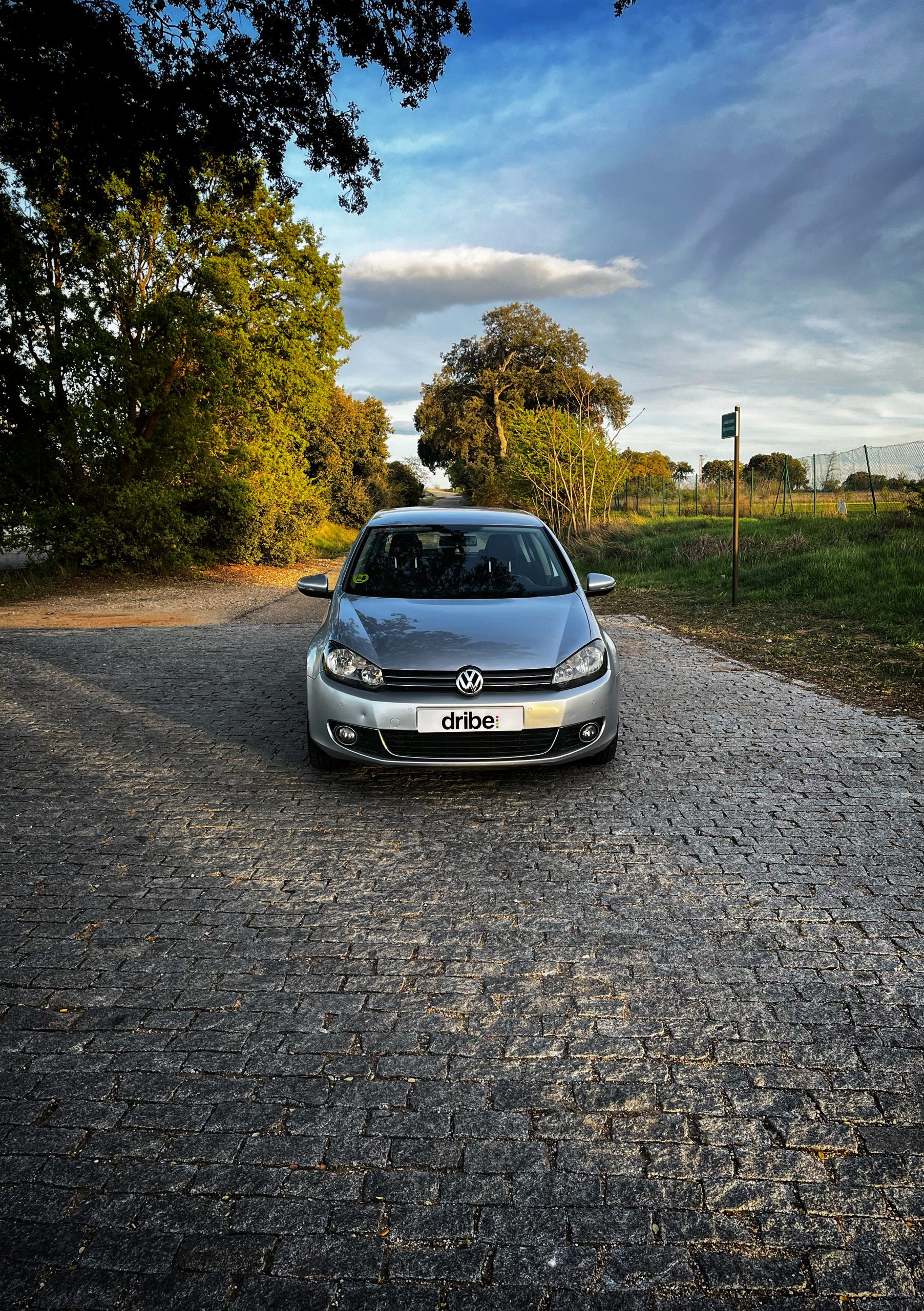 Volkswagen Golf Advance 1.6 TDI 105cv Bluemotion