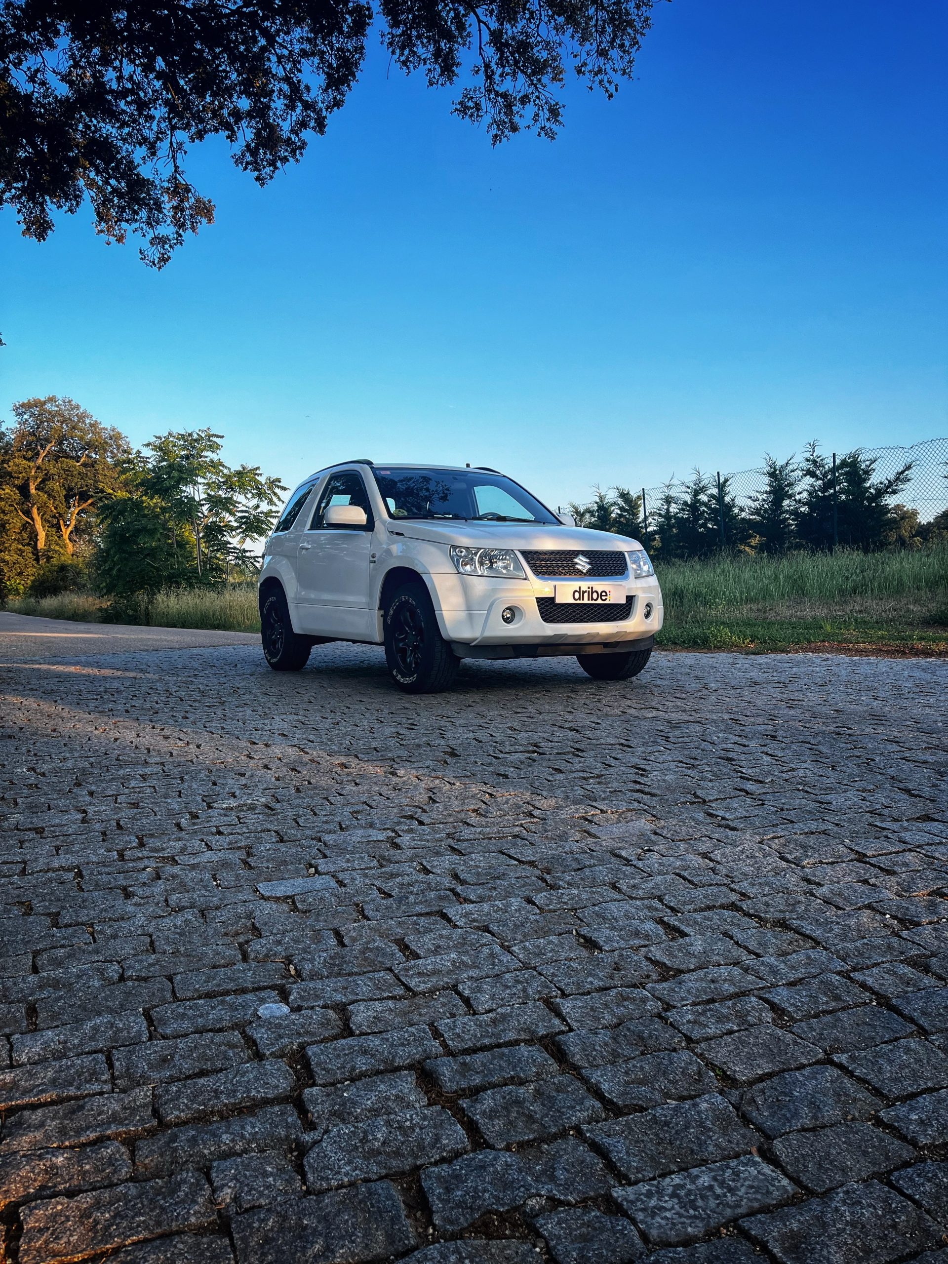 VENDIDO: Suzuki Grand Vitara 1.9DDiS 130CV JX