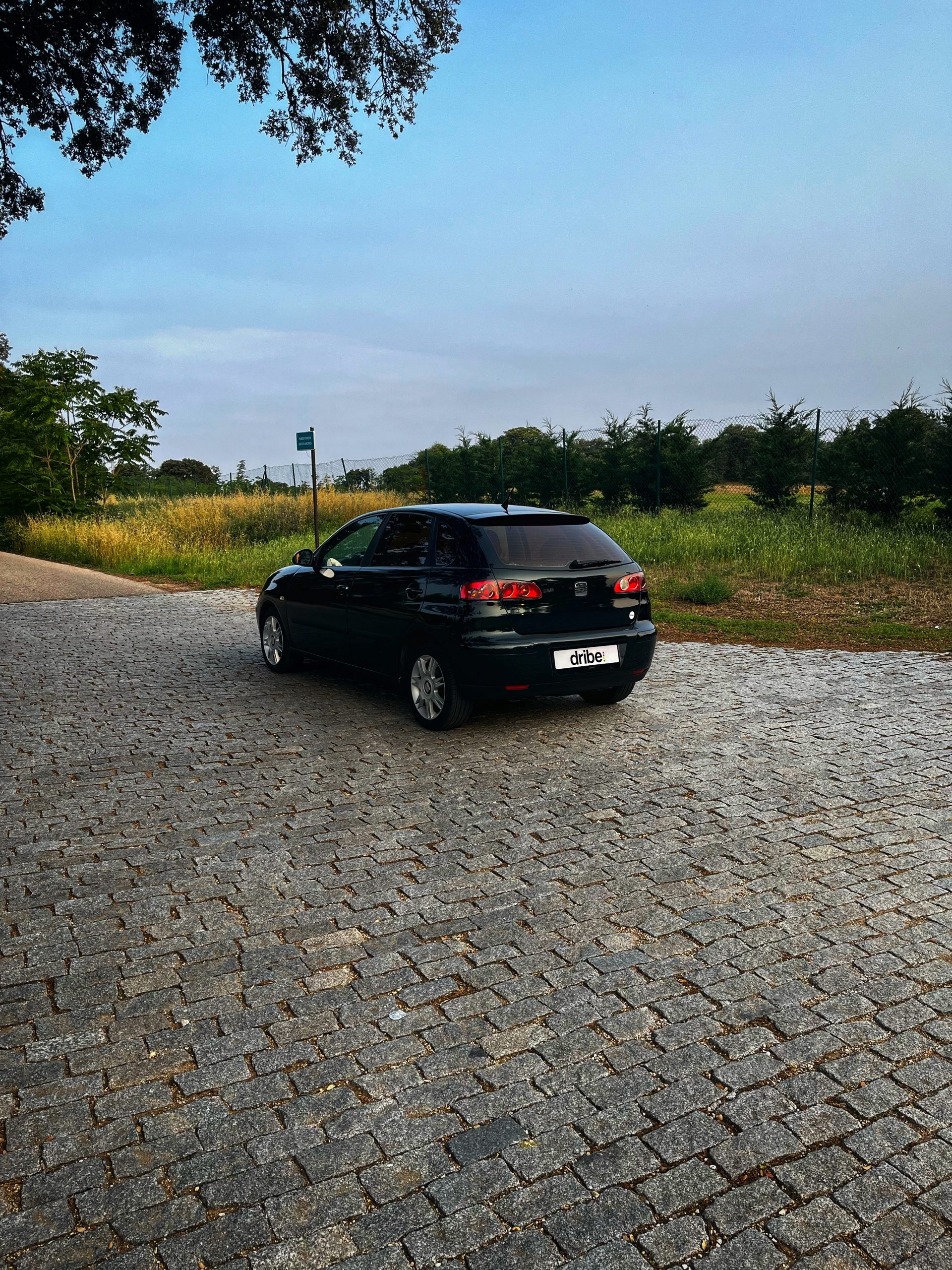VENDIDO: Seat Ibiza Signa 1.9 TDI 100cv