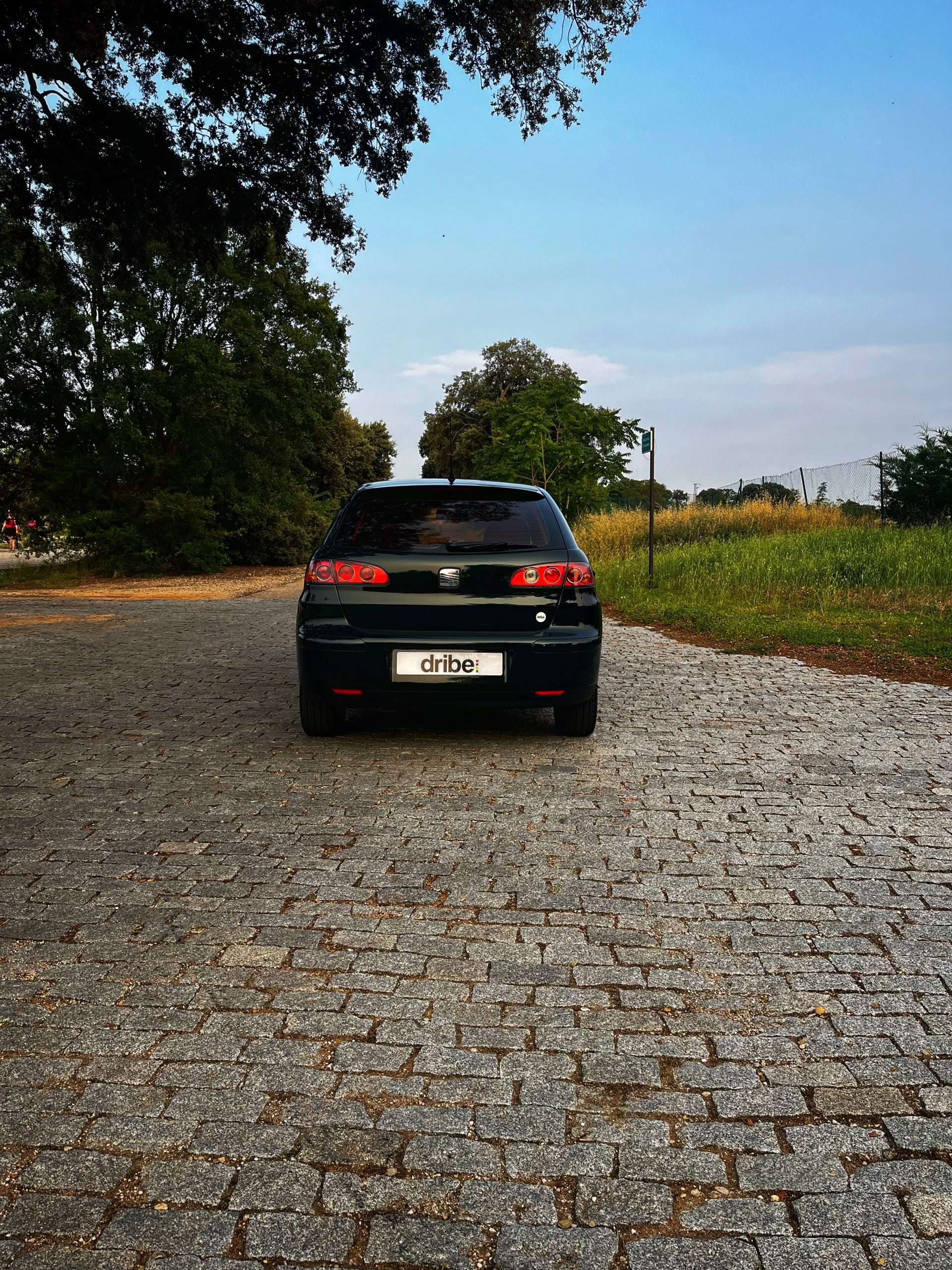 VENDIDO: Seat Ibiza Signa 1.9 TDI 100cv