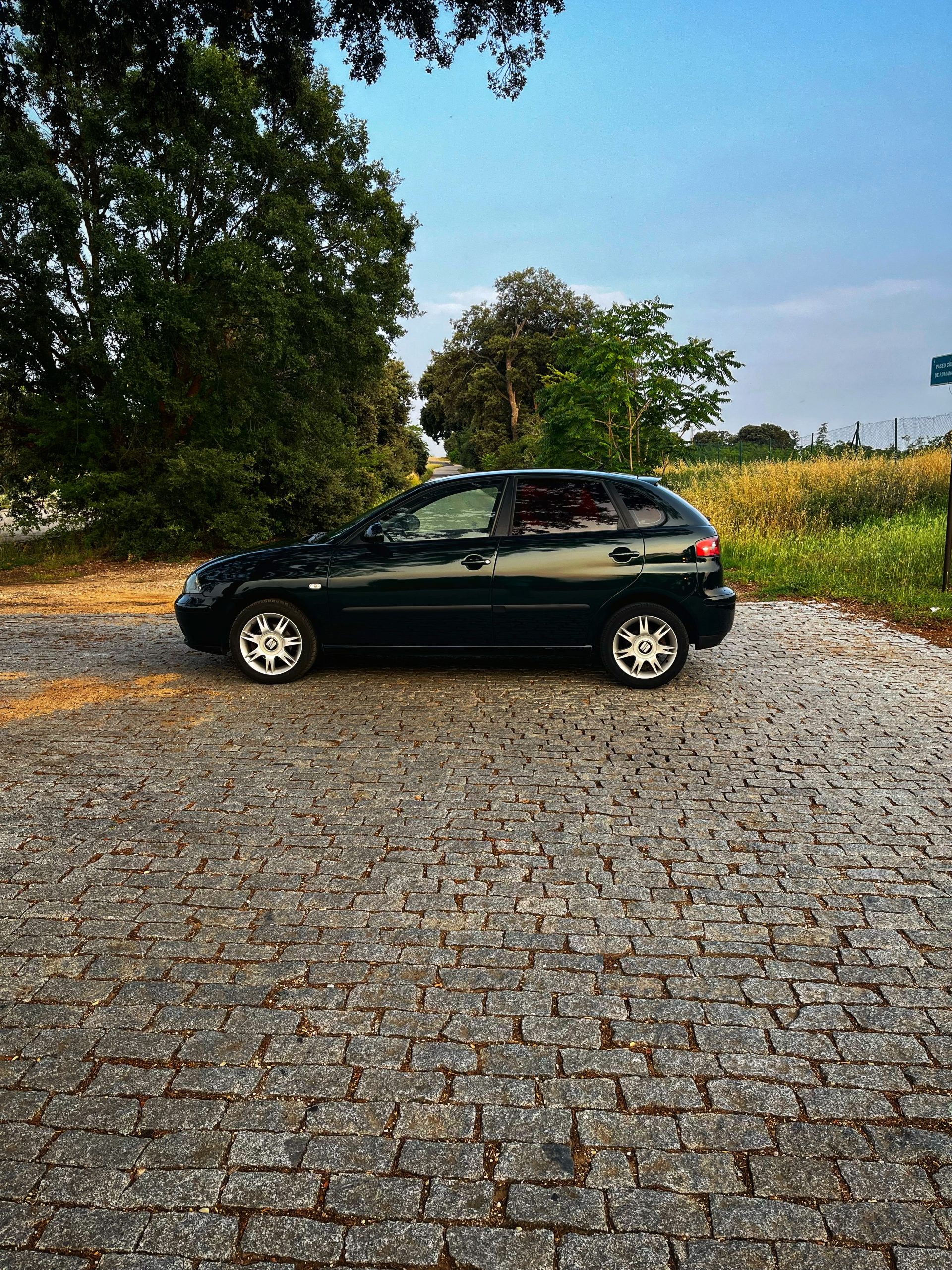 VENDIDO: Seat Ibiza Signa 1.9 TDI 100cv