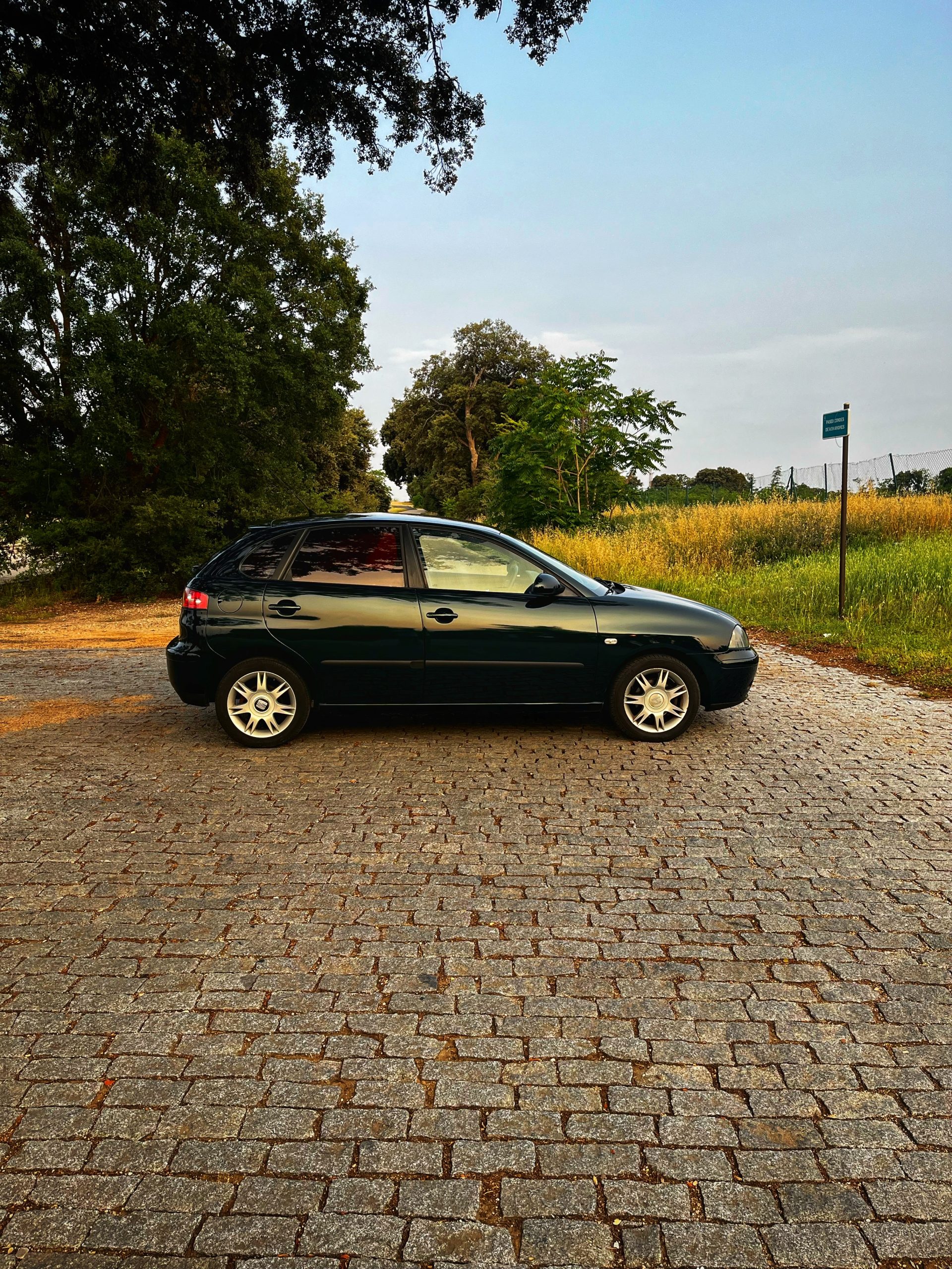 VENDIDO: Seat Ibiza Signa 1.9 TDI 100cv