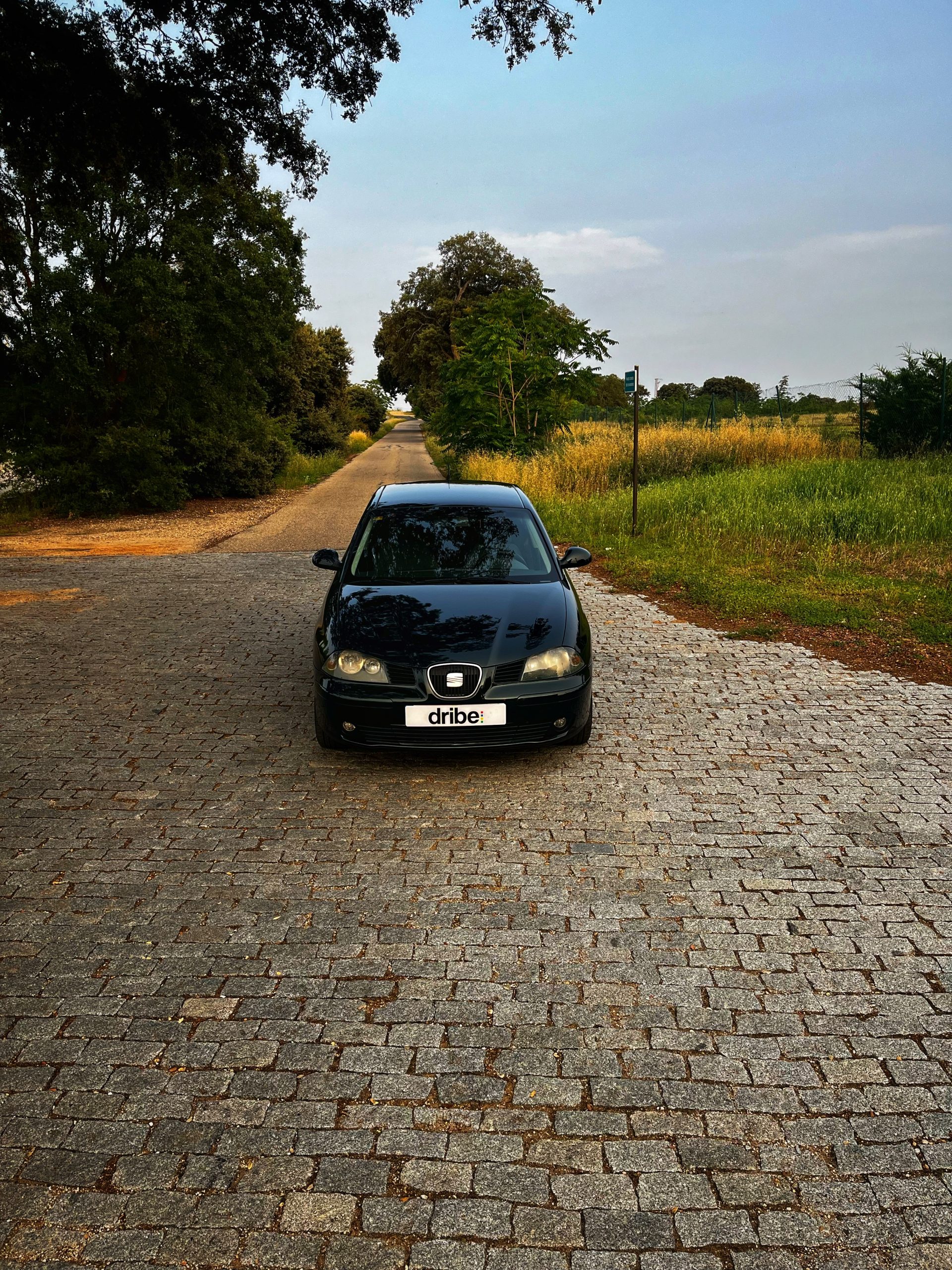 VENDIDO: Seat Ibiza Signa 1.9 TDI 100cv