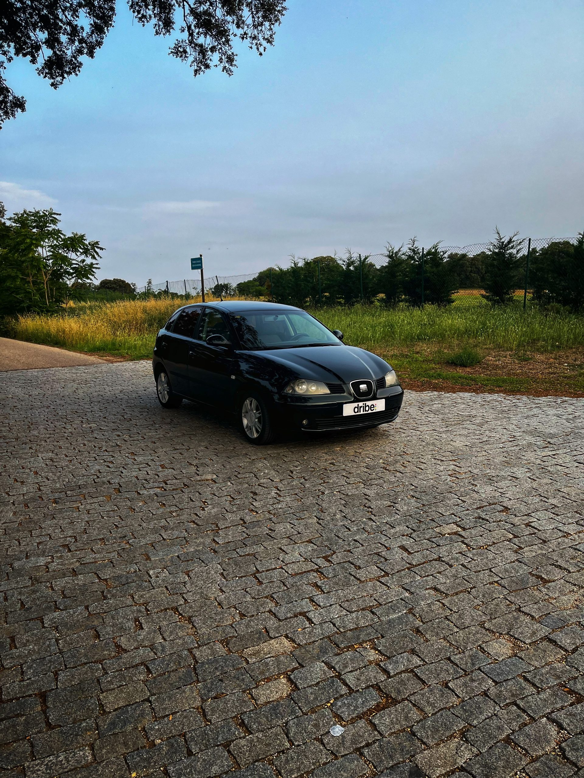 VENDIDO: Seat Ibiza Signa 1.9 TDI 100cv