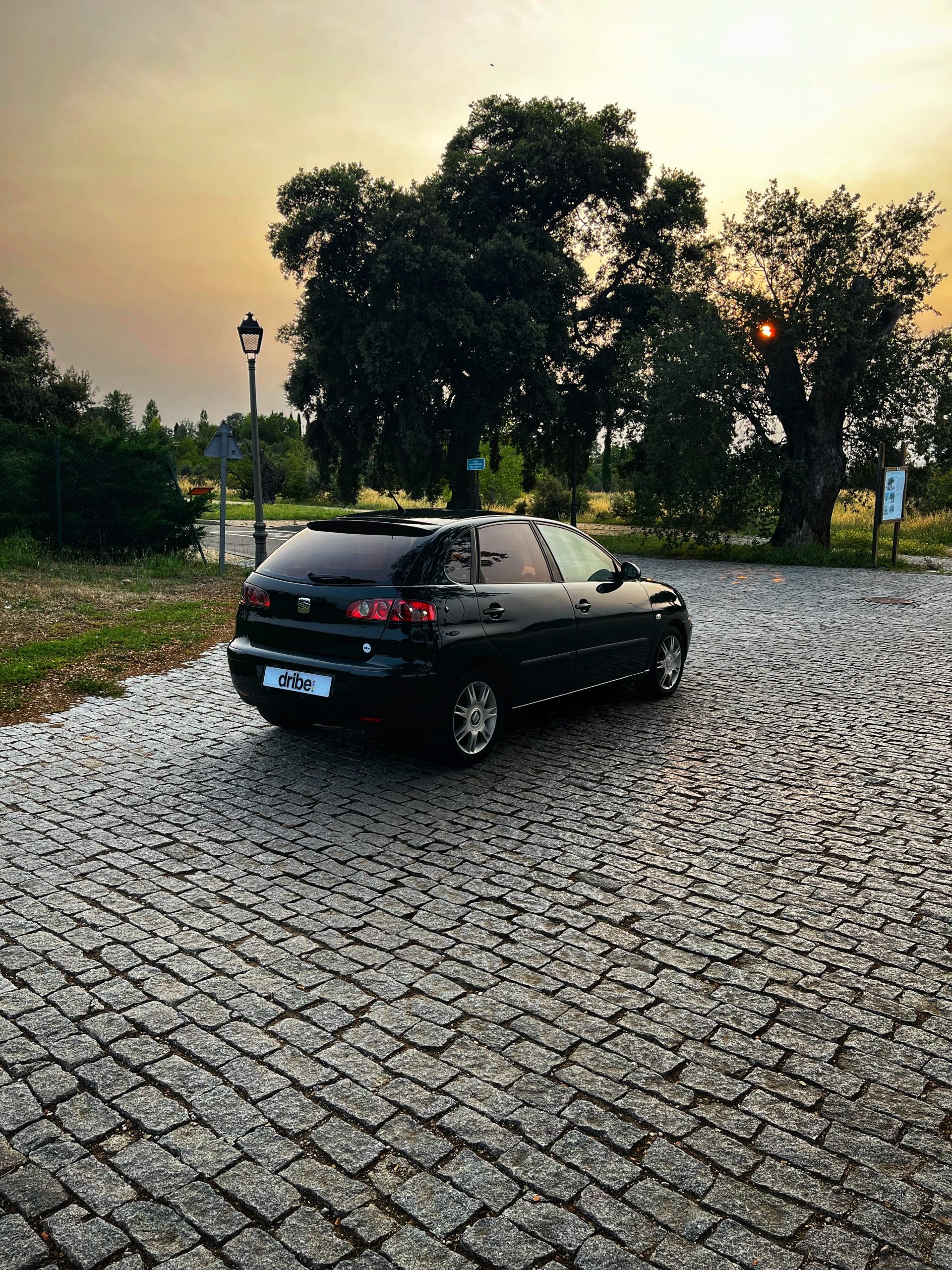 VENDIDO: Seat Ibiza Signa 1.9 TDI 100cv