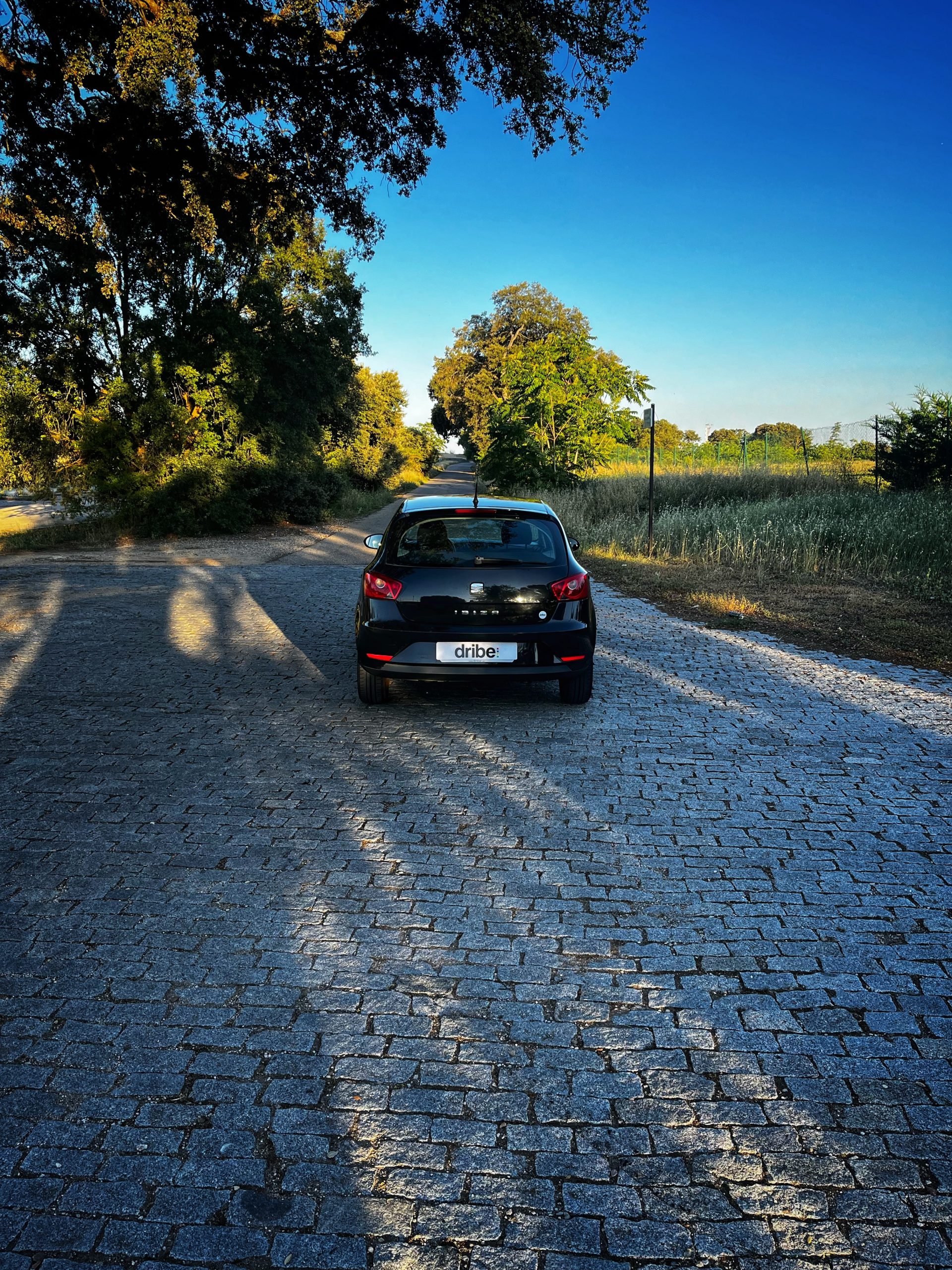 VENDIDO: Seat Ibiza Style 1.6 TDI 105cv