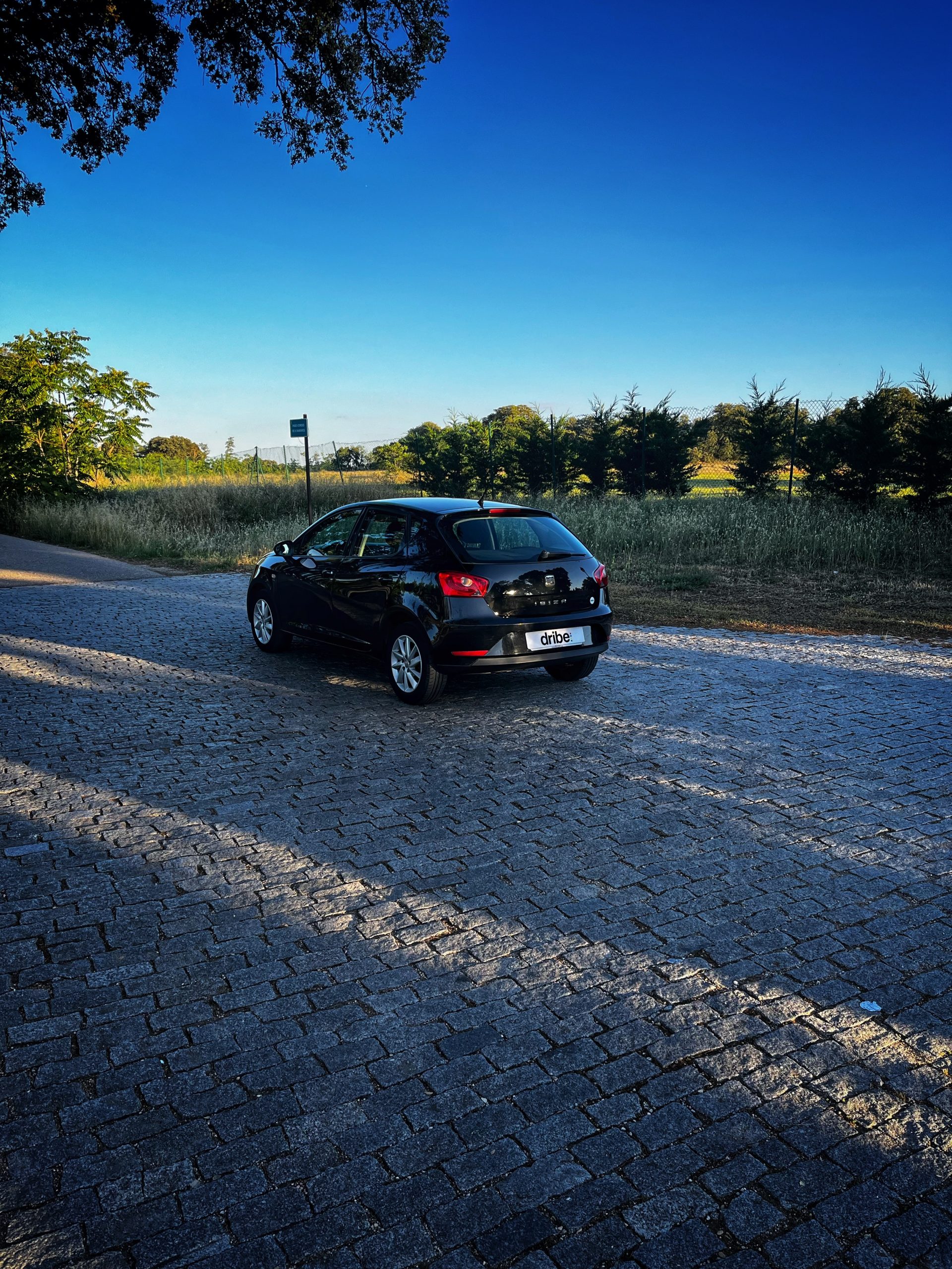 VENDIDO: Seat Ibiza Style 1.6 TDI 105cv