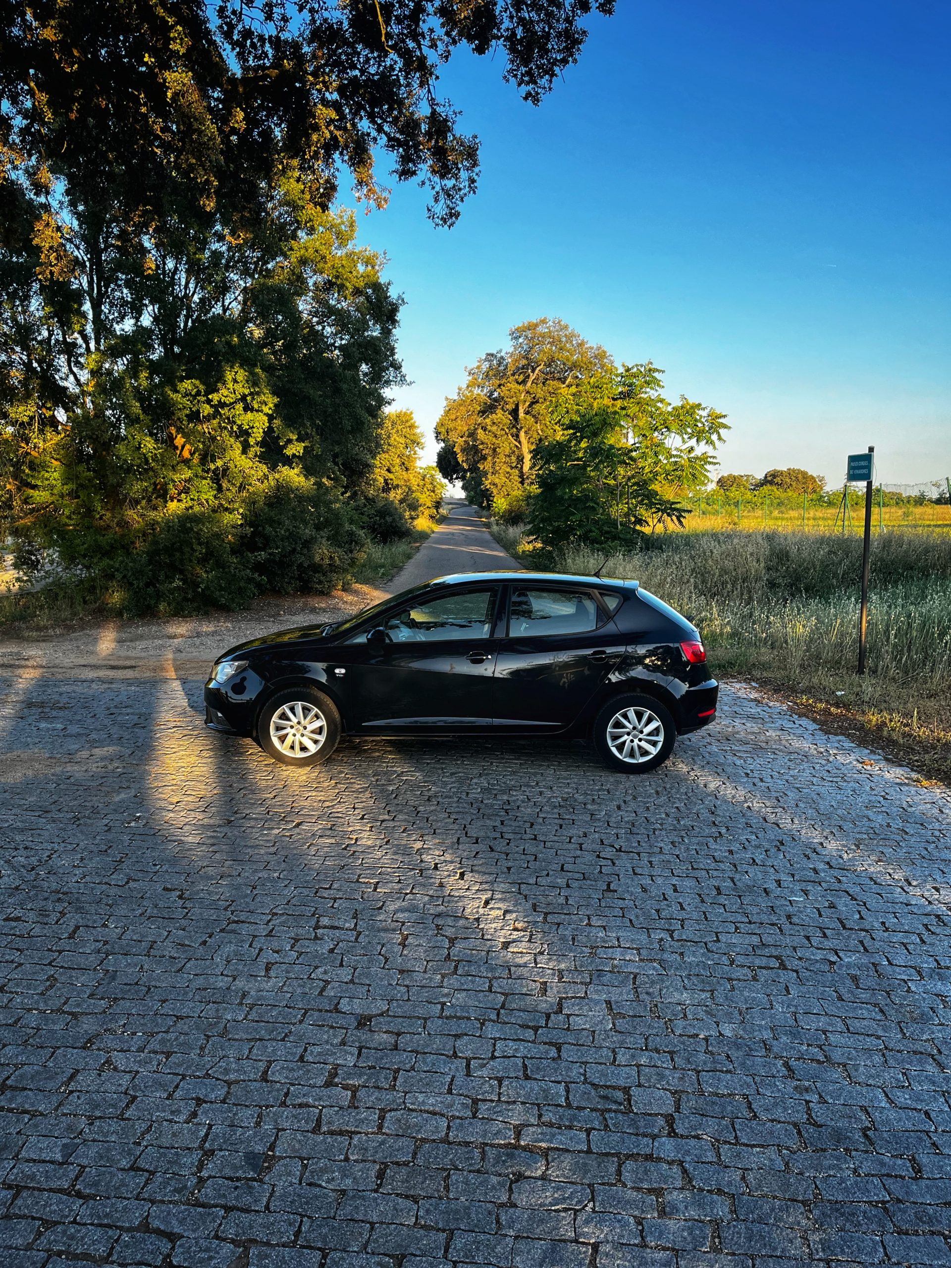 VENDIDO: Seat Ibiza Style 1.6 TDI 105cv
