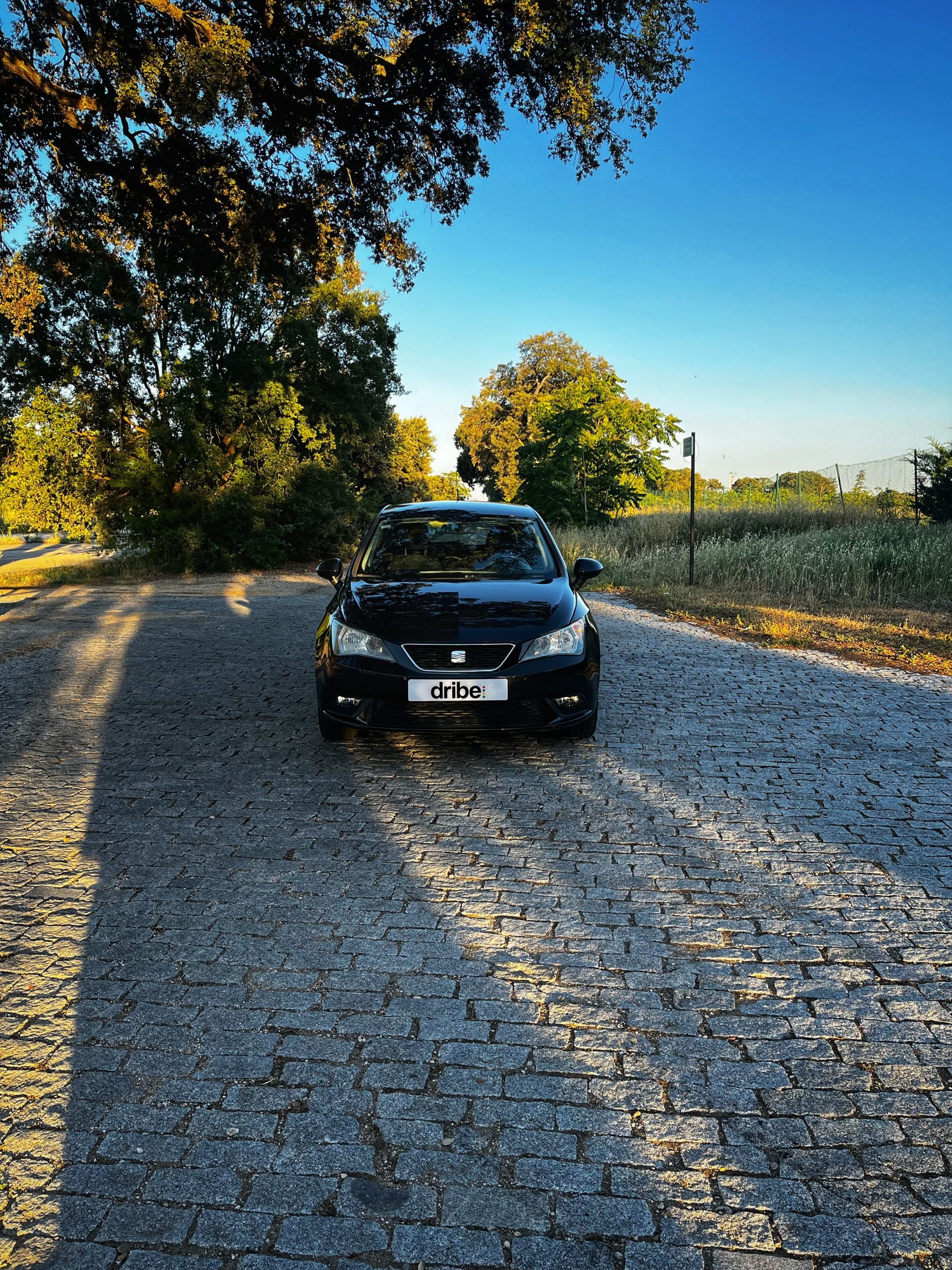 VENDIDO: Seat Ibiza Style 1.6 TDI 105cv