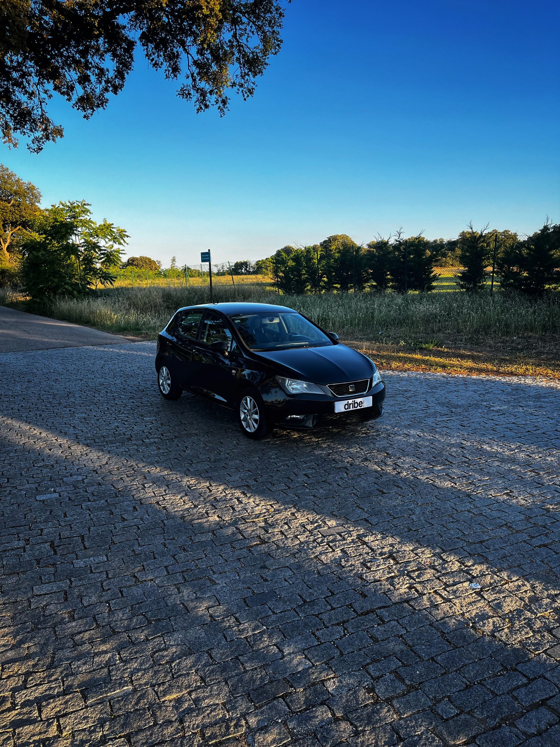 VENDIDO: Seat Ibiza Style 1.6 TDI 105cv