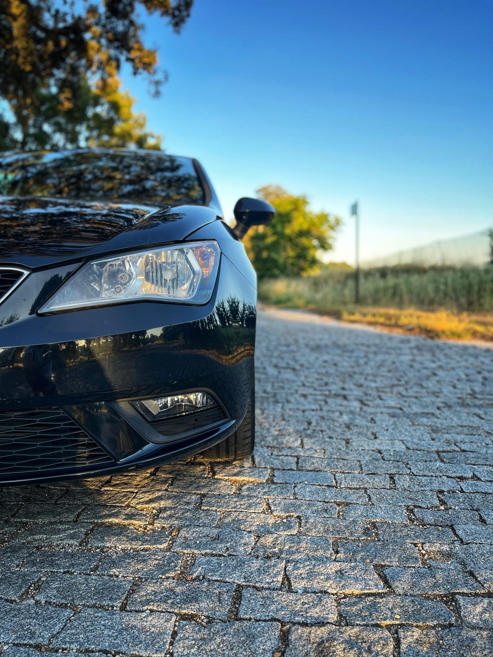 VENDIDO: Seat Ibiza Style 1.6 TDI 105cv
