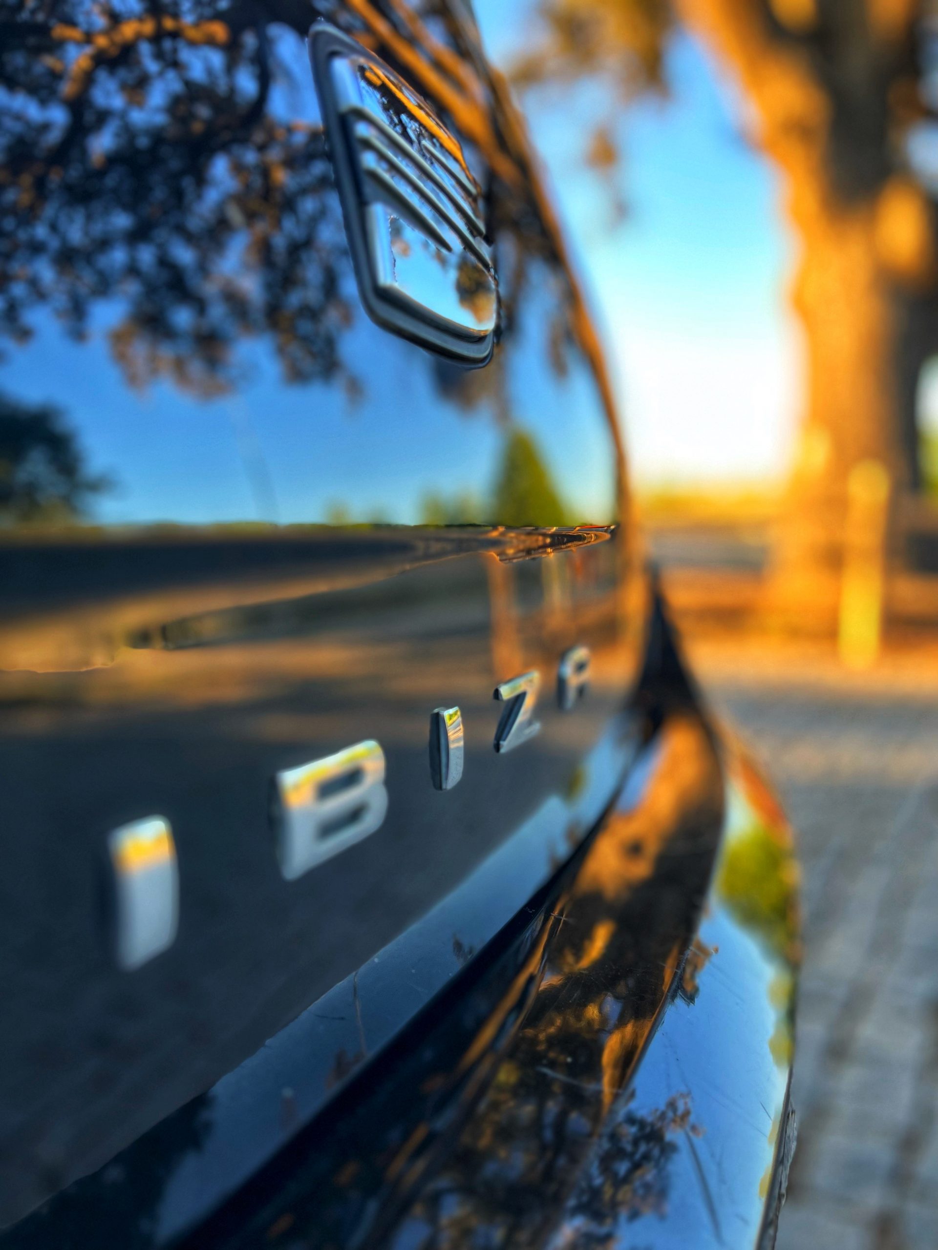 VENDIDO: Seat Ibiza Style 1.6 TDI 105cv