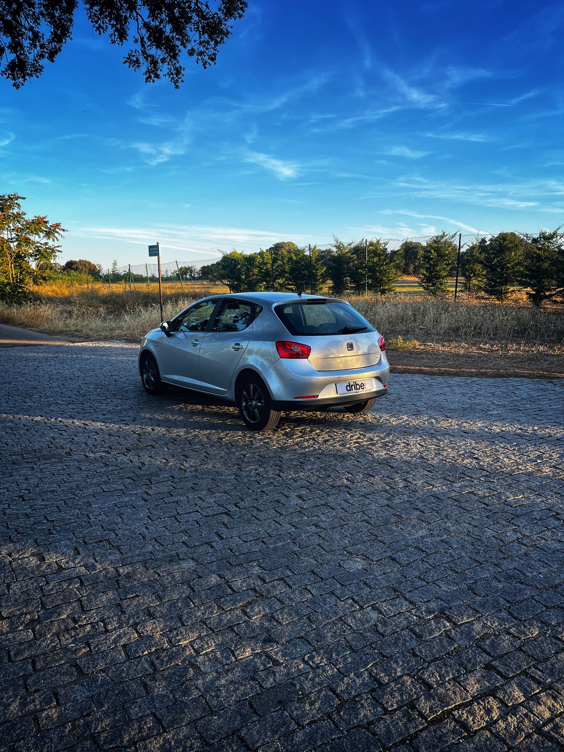 VENDIDO: Seat Ibiza Style 1.6 TDI 105cv