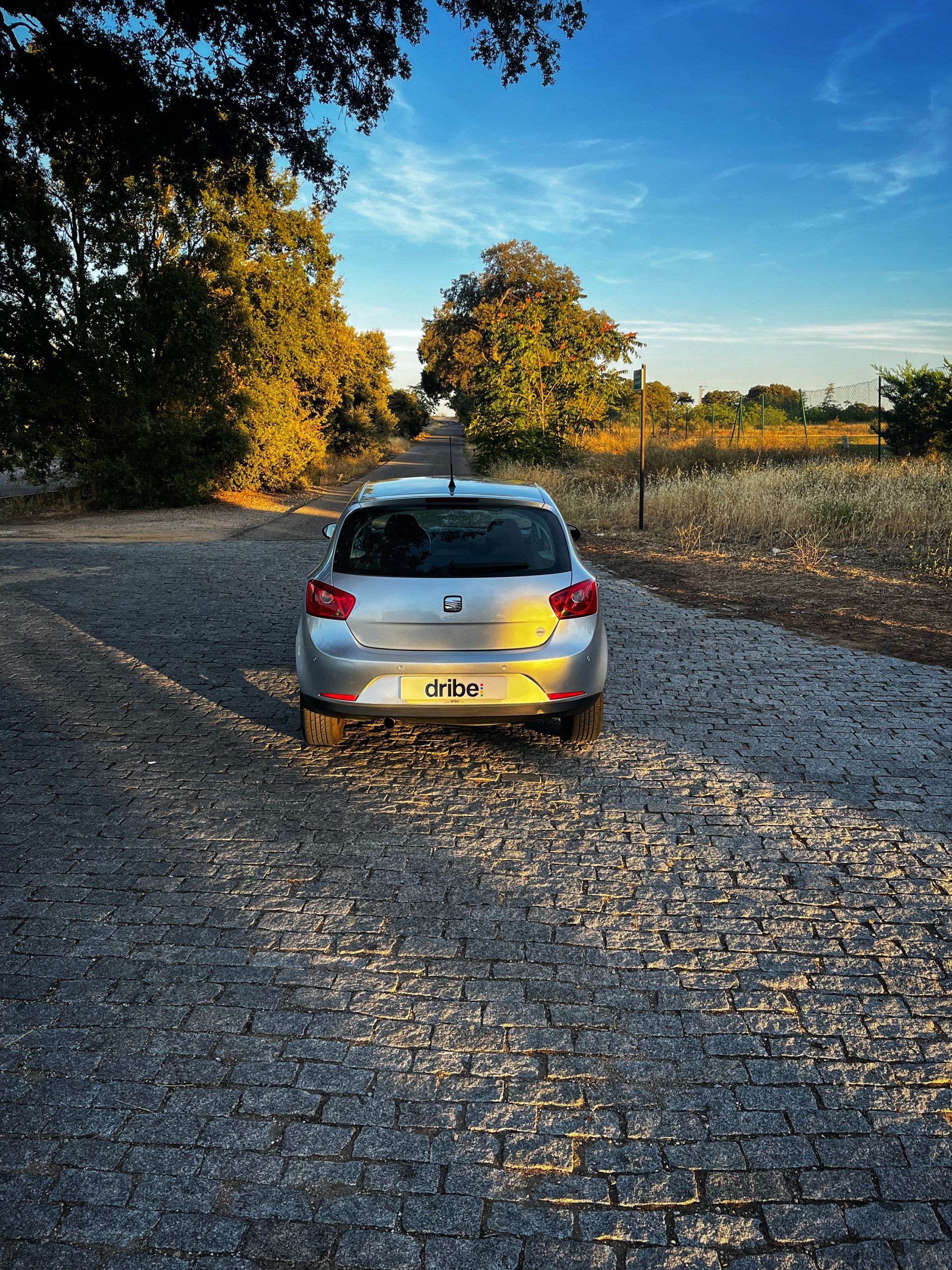 VENDIDO: Seat Ibiza Style 1.6 TDI 105cv