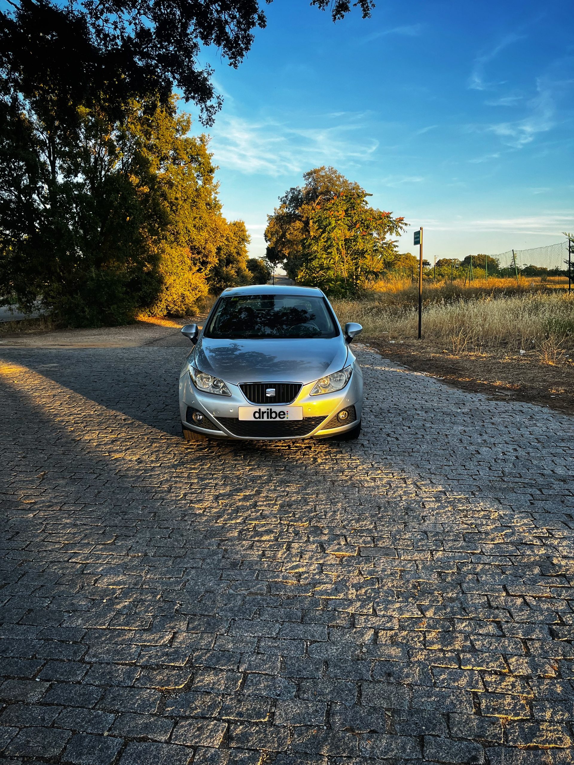 VENDIDO: Seat Ibiza Style 1.6 TDI 105cv