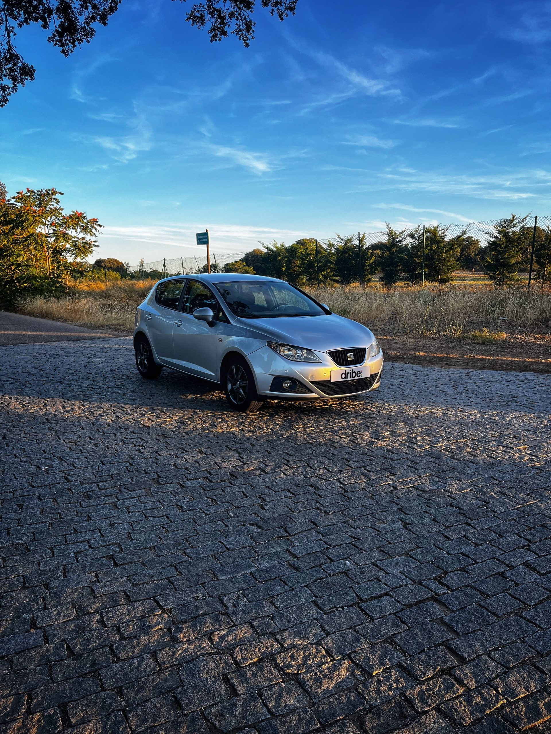 VENDIDO: Seat Ibiza Style 1.6 TDI 105cv