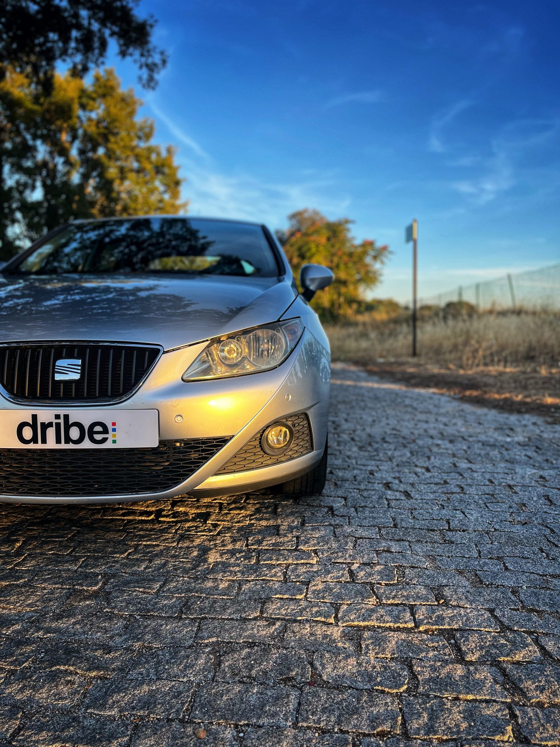 VENDIDO: Seat Ibiza Style 1.6 TDI 105cv