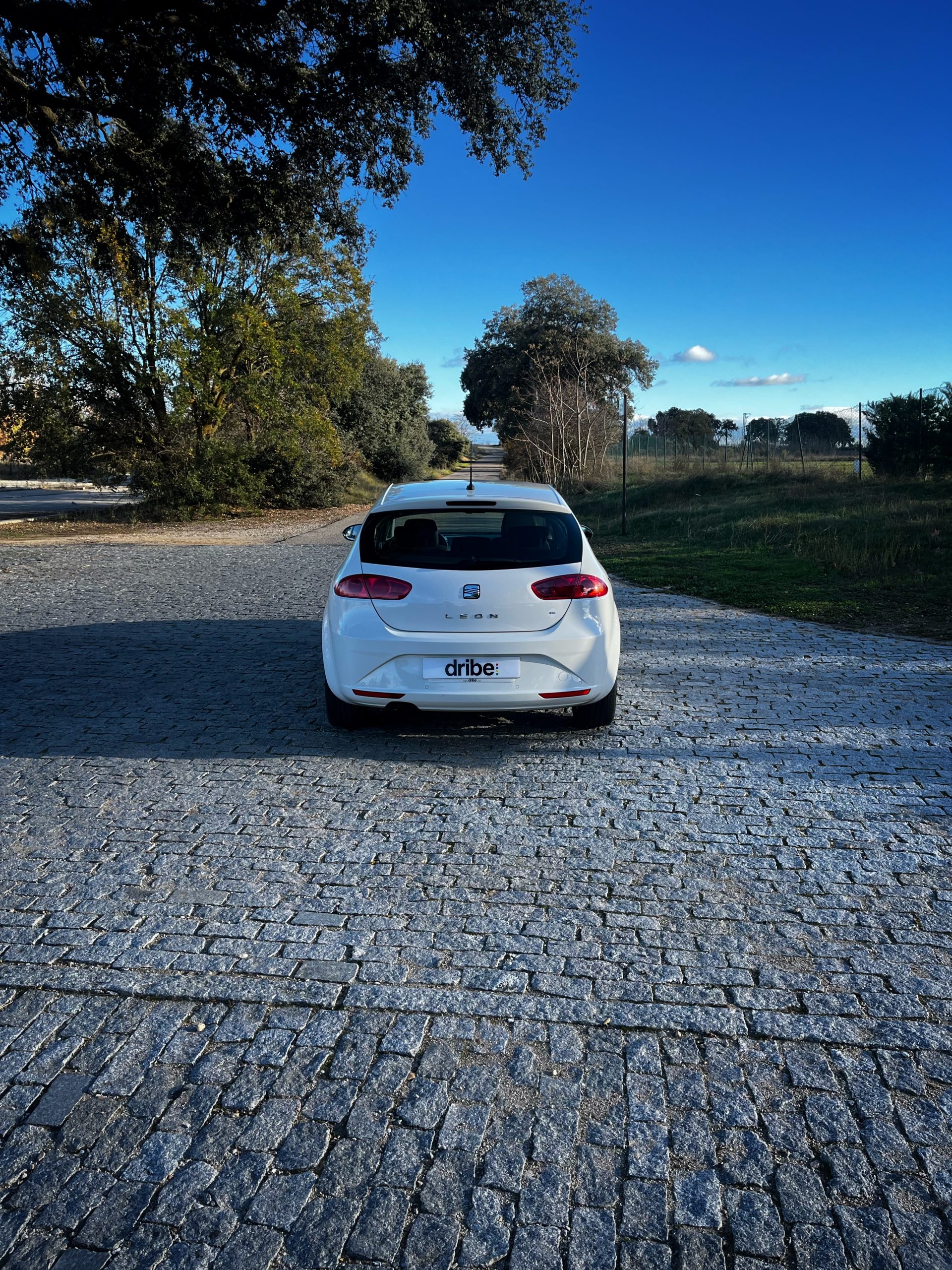 VENDIDO: SEAT LEON STYLE COPA 1.6 TDI 105CV