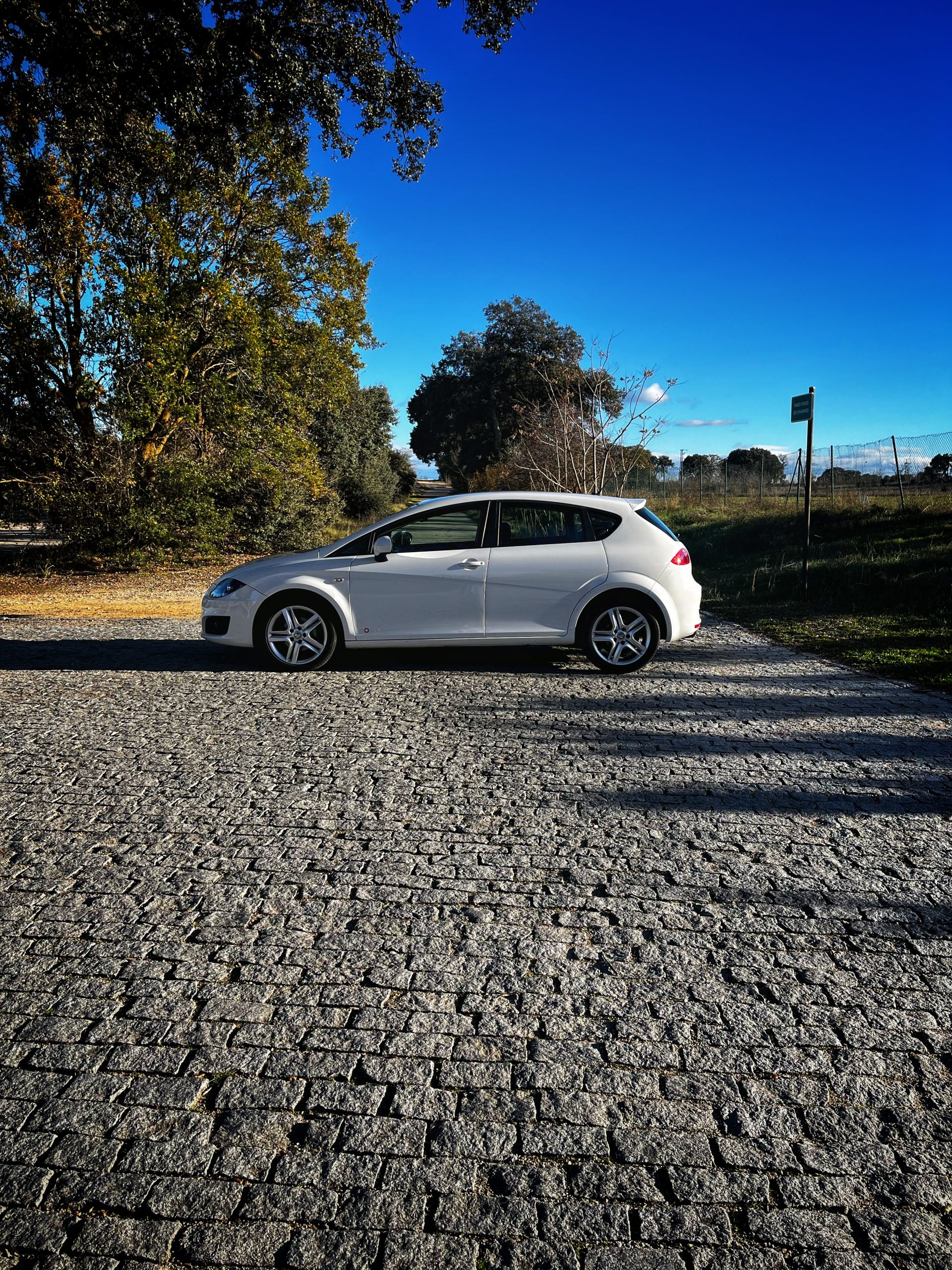VENDIDO: SEAT LEON STYLE COPA 1.6 TDI 105CV