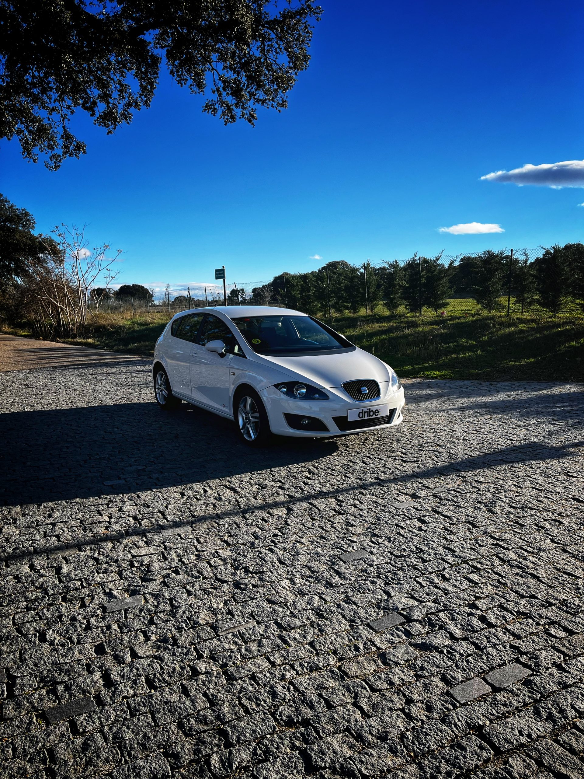 VENDIDO: SEAT LEON STYLE COPA 1.6 TDI 105CV