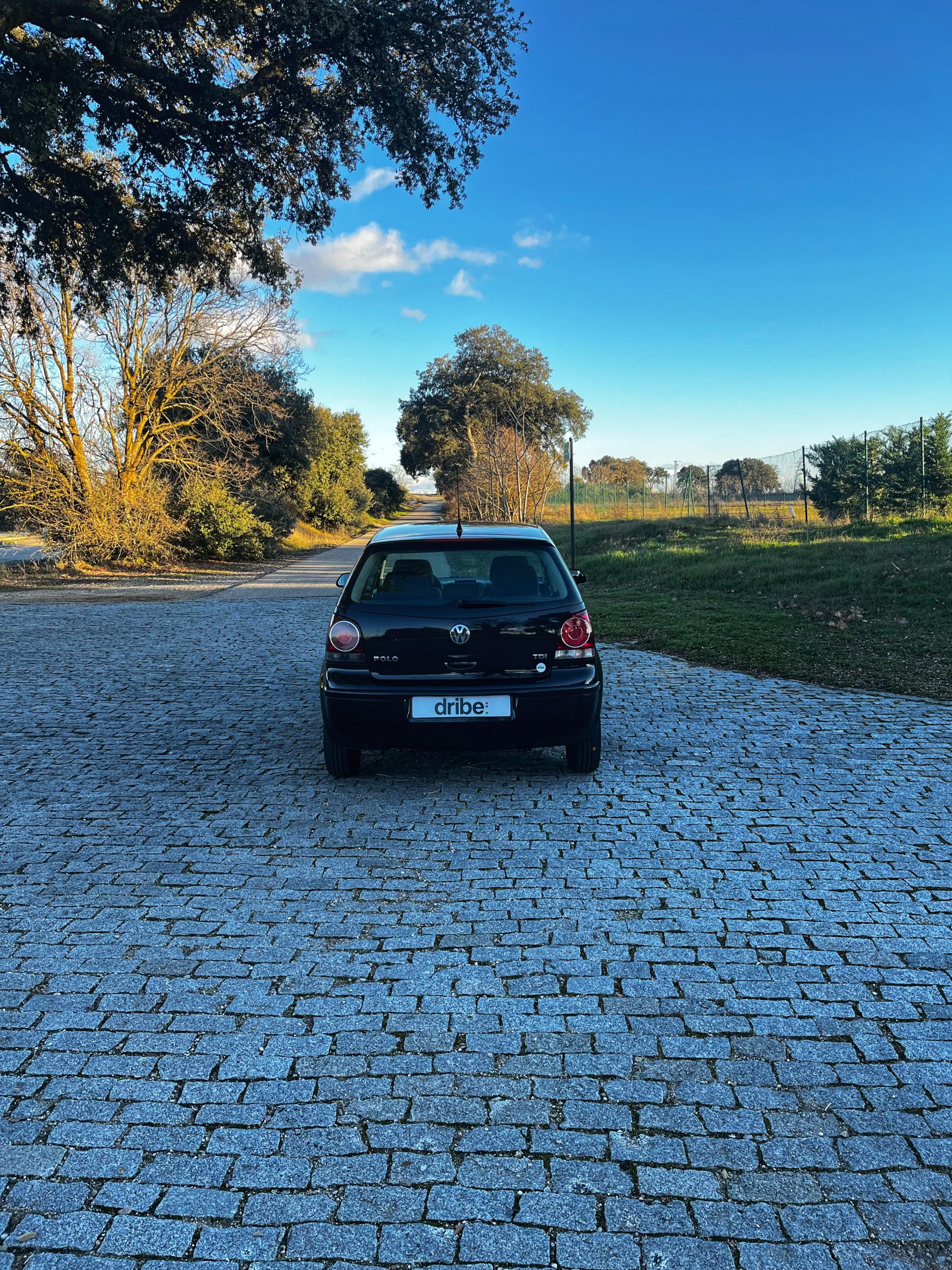 VENDIDO: VOLKSWAGEN POLO EDITION 1.4 TDI 70CV