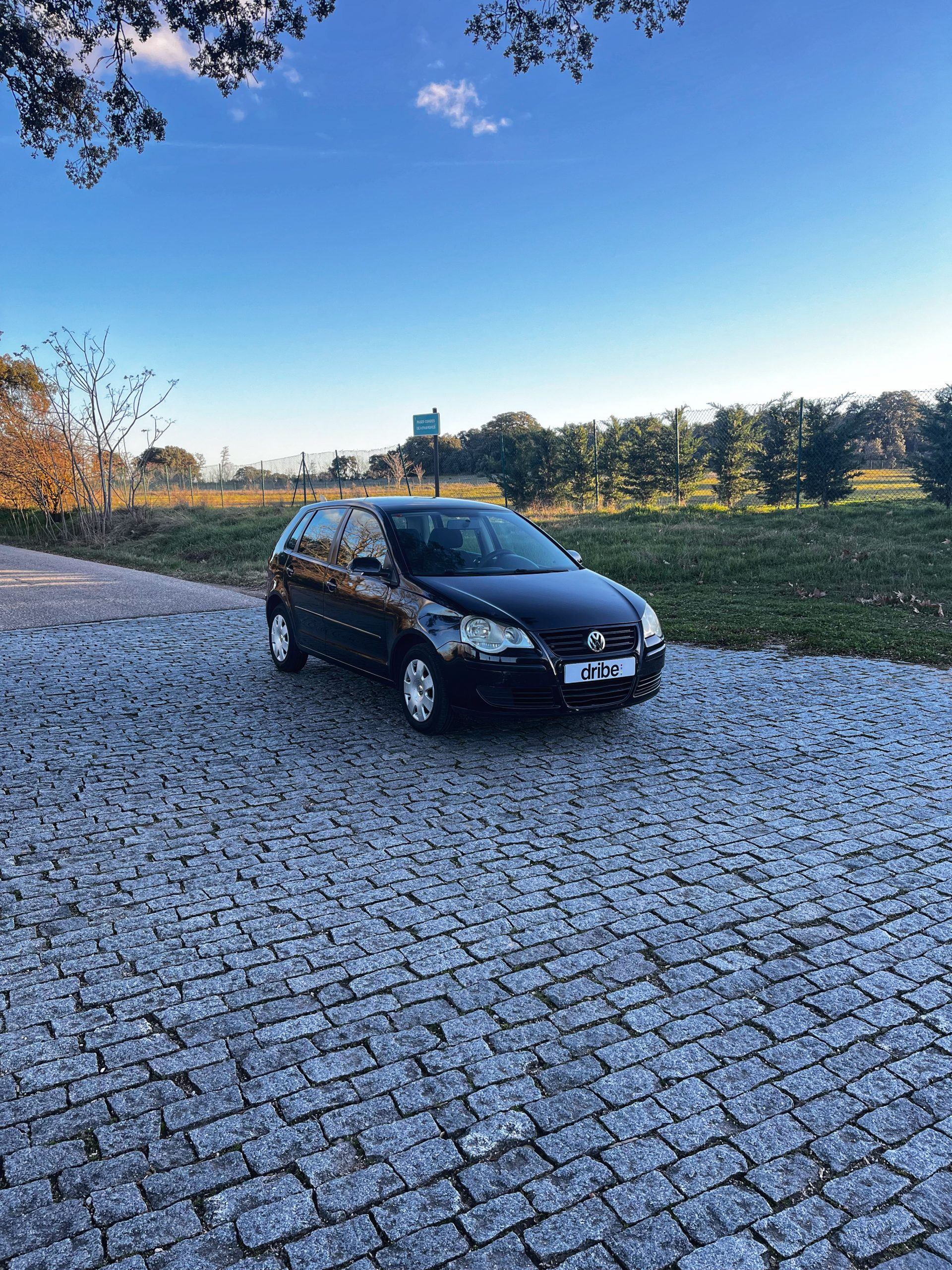 VENDIDO: VOLKSWAGEN POLO EDITION 1.4 TDI 70CV