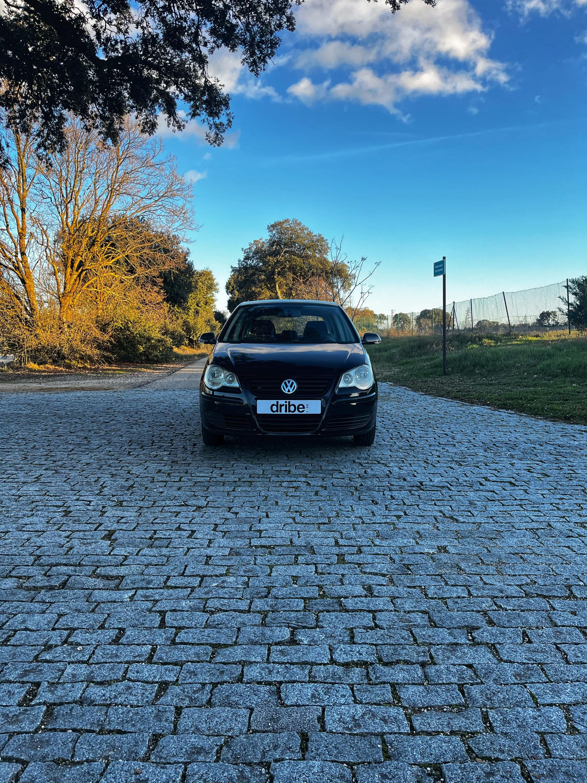 VENDIDO: VOLKSWAGEN POLO EDITION 1.4 TDI 70CV
