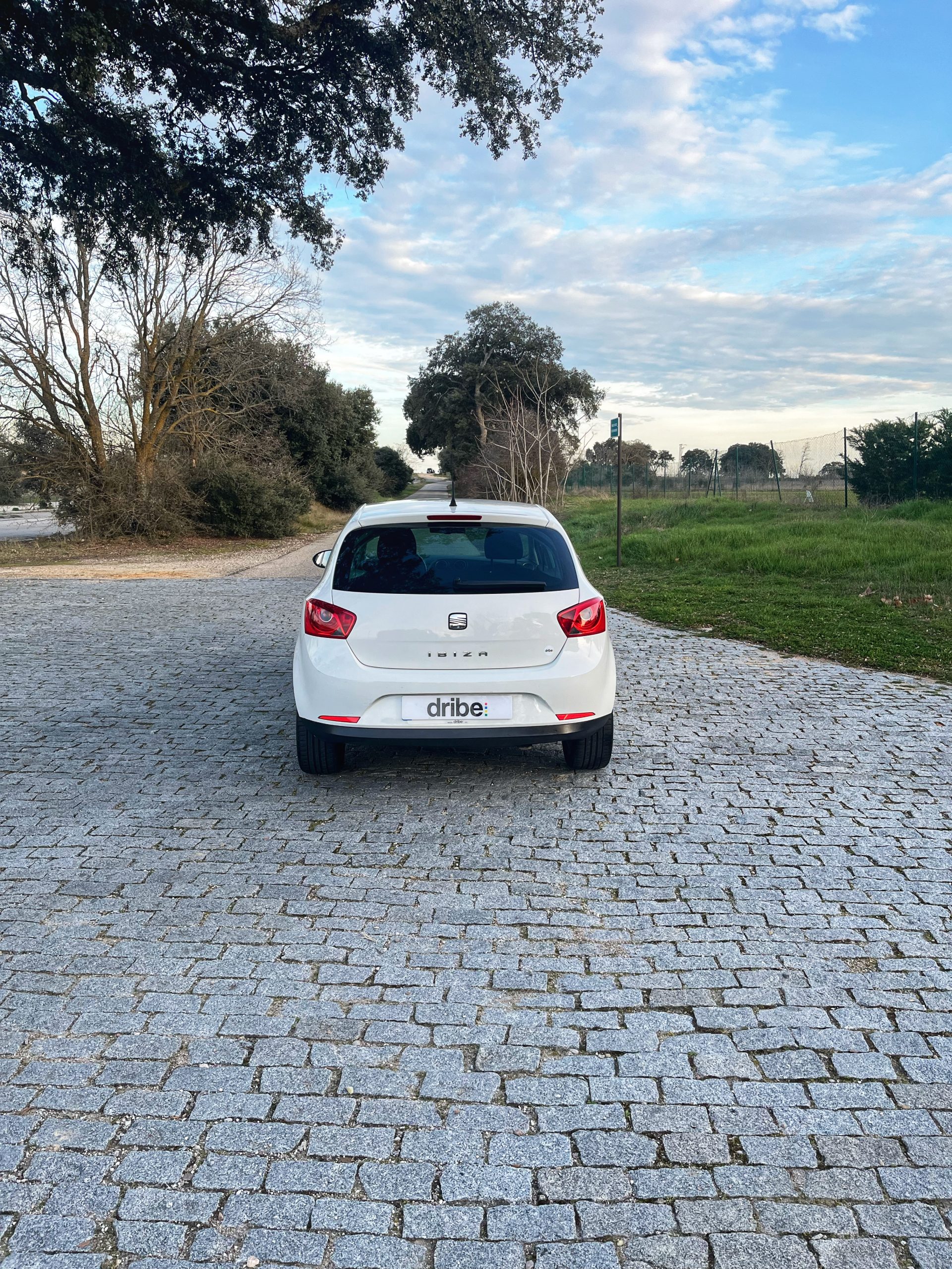 VENDIDO: Seat Ibiza Style Copa 1.6 TDI 90cv