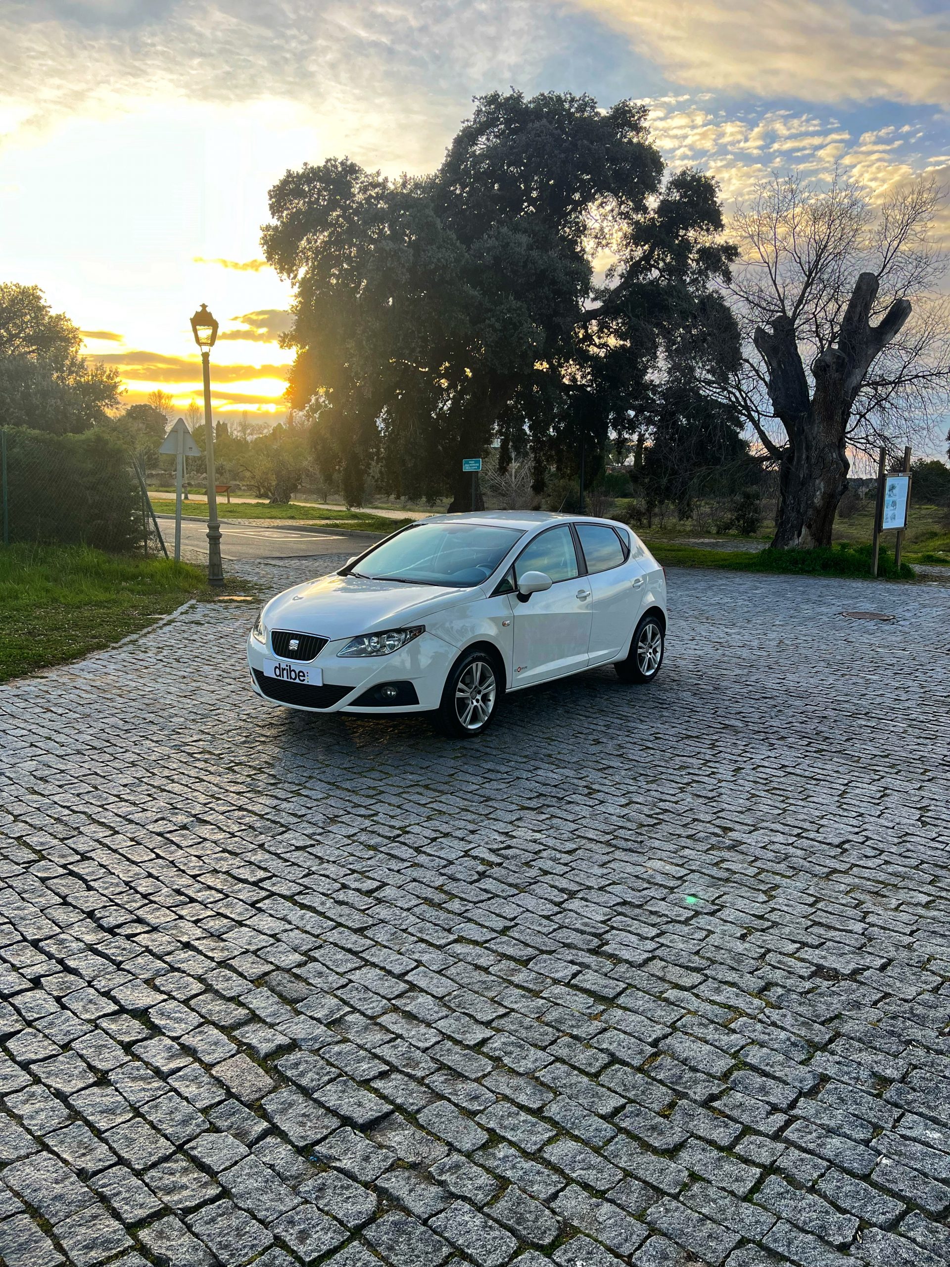 VENDIDO: Seat Ibiza Style Copa 1.6 TDI 90cv