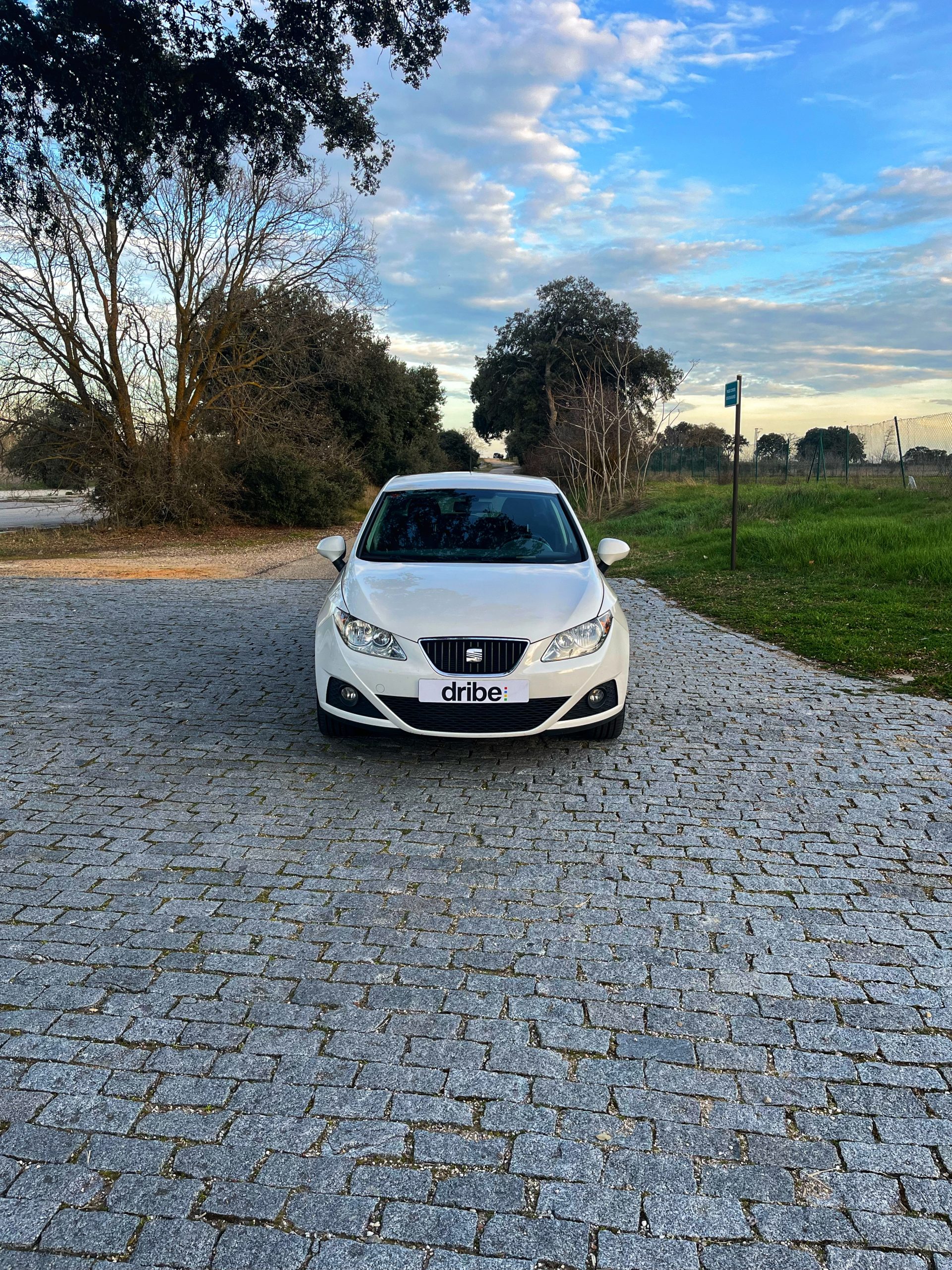 VENDIDO: Seat Ibiza Style Copa 1.6 TDI 90cv