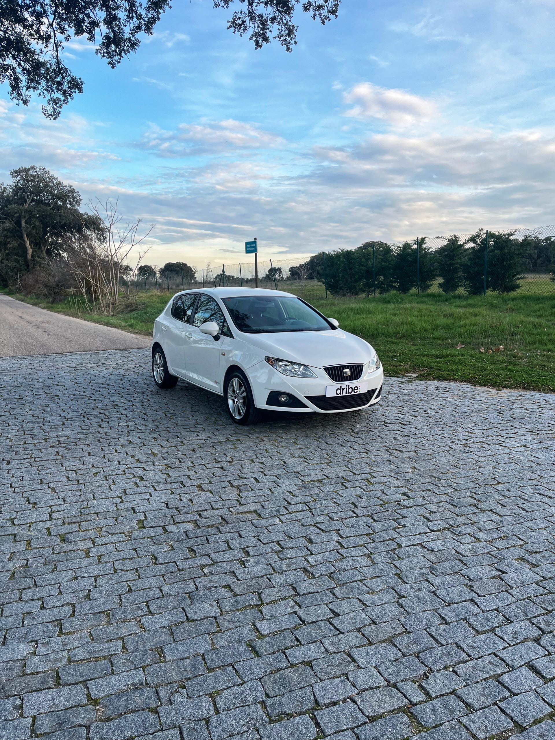 VENDIDO: Seat Ibiza Style Copa 1.6 TDI 90cv
