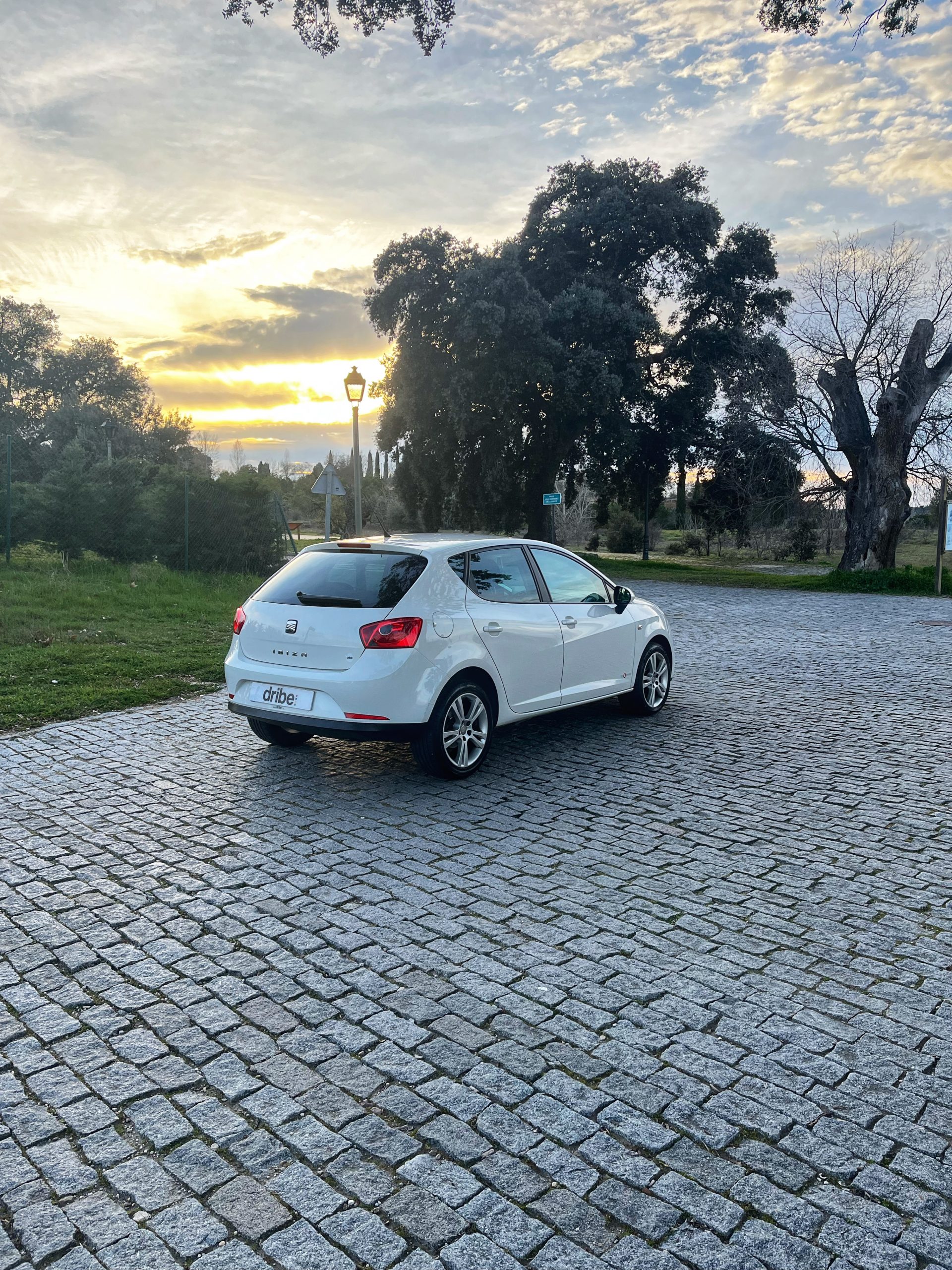 VENDIDO: Seat Ibiza Style Copa 1.6 TDI 90cv