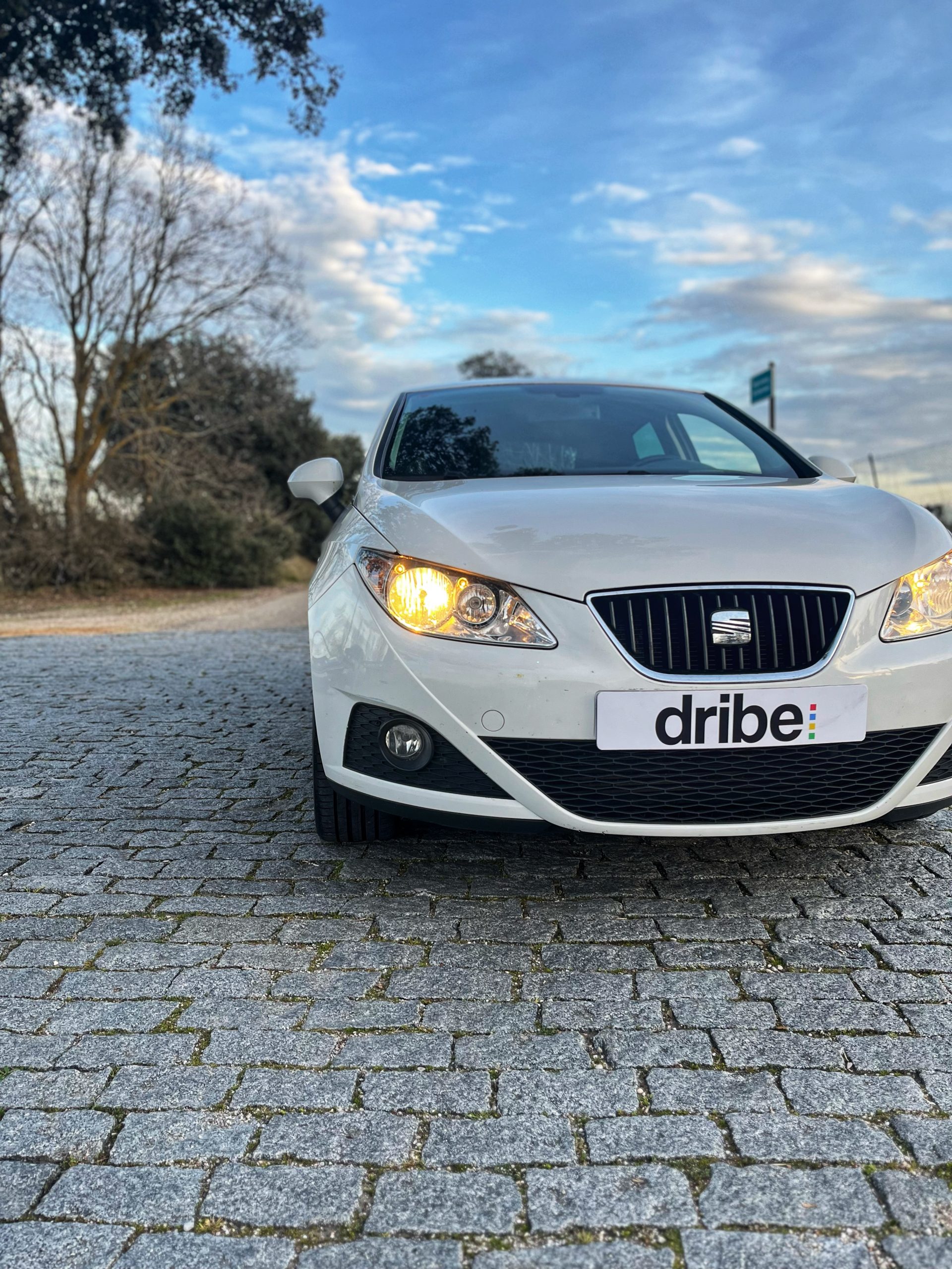 VENDIDO: Seat Ibiza Style Copa 1.6 TDI 90cv