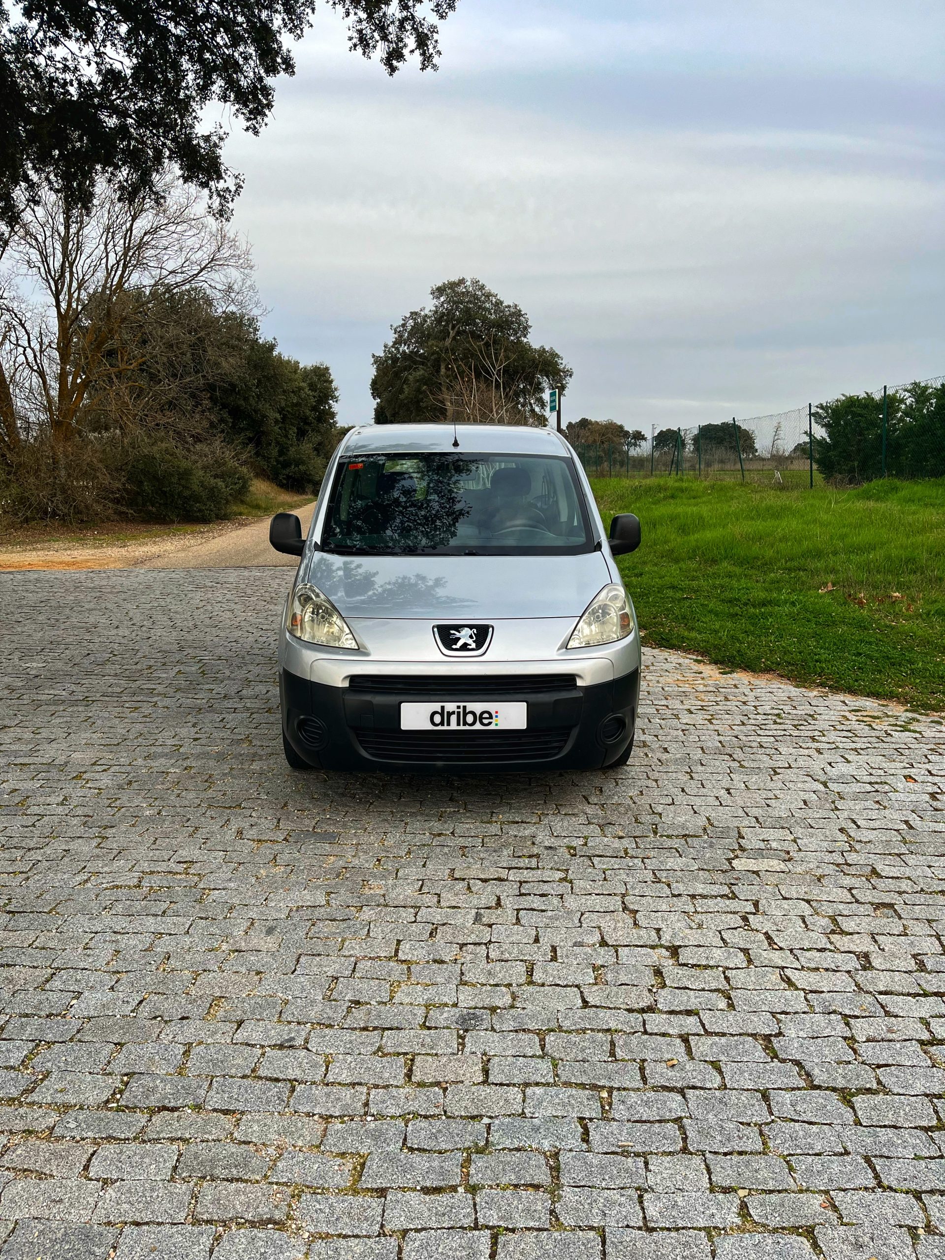 VENDIDO: PEUGEOT PARTNER TEPEE COMBI 1.6 HDI 90CV